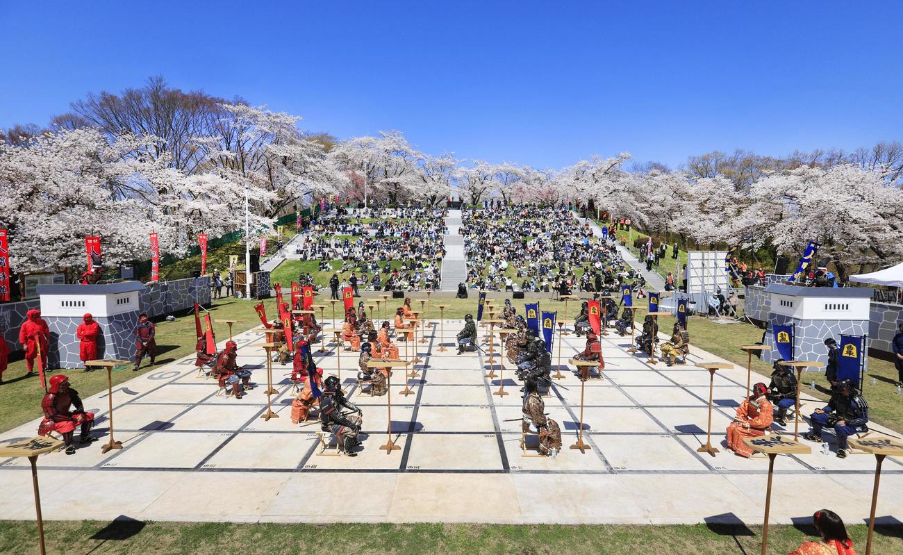 甲冑や着物をまとった参加者を駒に見立て行われた「人間将棋」。満開の桜の下、大勢の観客が対局に見入っていた