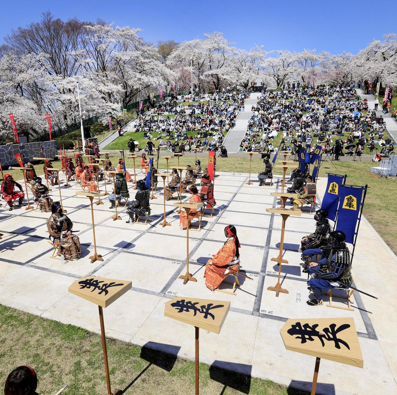 甲冑や着物をまとった参加者を駒に見立て行われた「人間将棋」。満開の桜の下、大勢の観客が対局に見入っていた