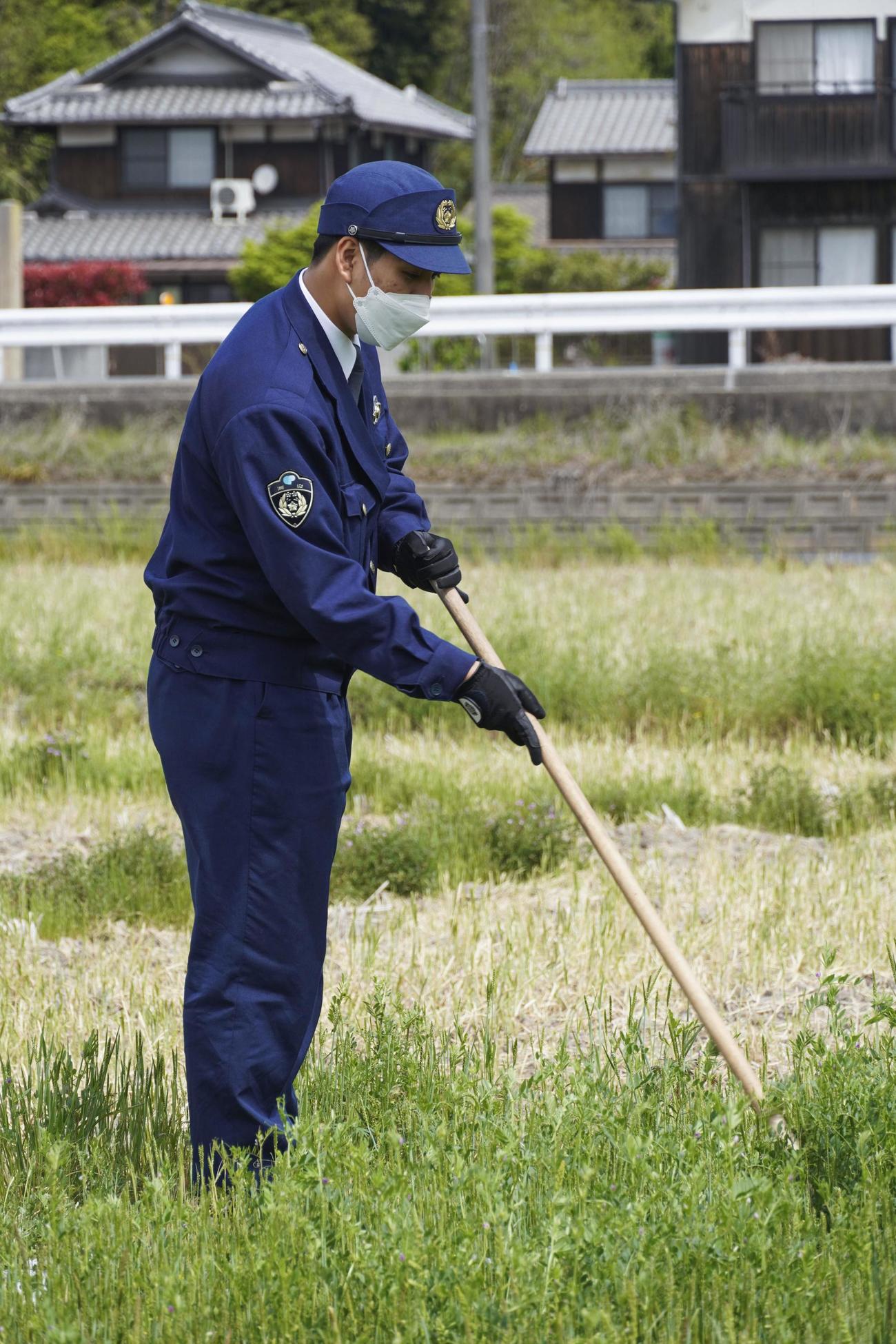 逃走したニシキヘビの一種「ボールパイソン」を捜索する警察官（共同）