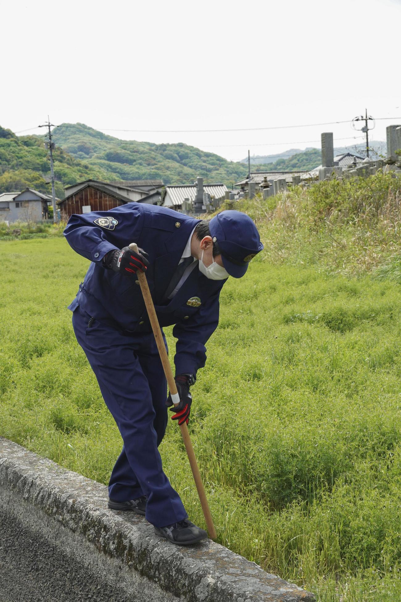 逃走したニシキヘビの一種「ボールパイソン」を捜索する警察官（共同）