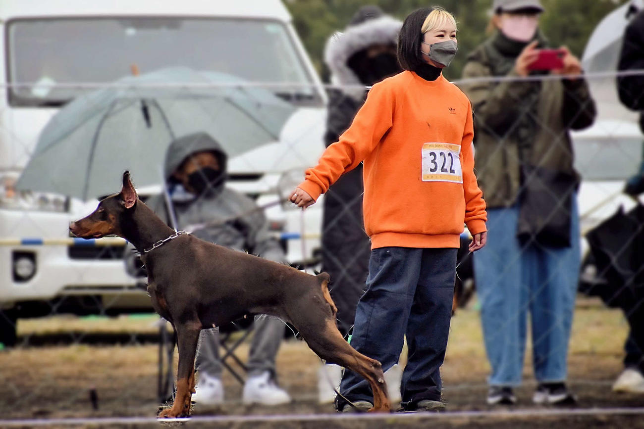 岡島愛さんと飼い犬のドーベルマン「うり」（本人提供）※逃げた犬ではありません