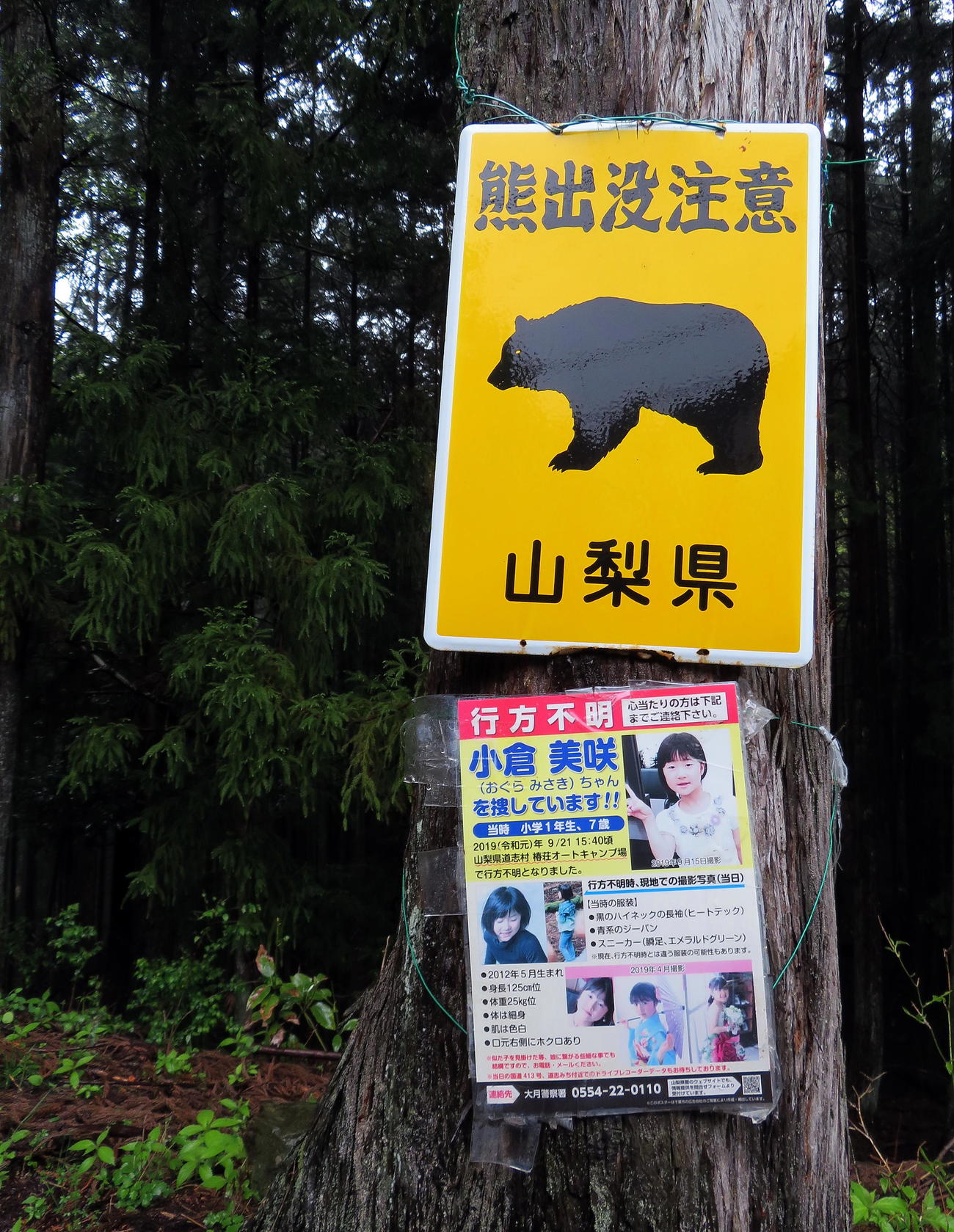 キャンプ場近くの「熊出没注意」看板の下に掲示されている小倉美咲さん捜索協力を願うポスター（撮影・鎌田直秀）