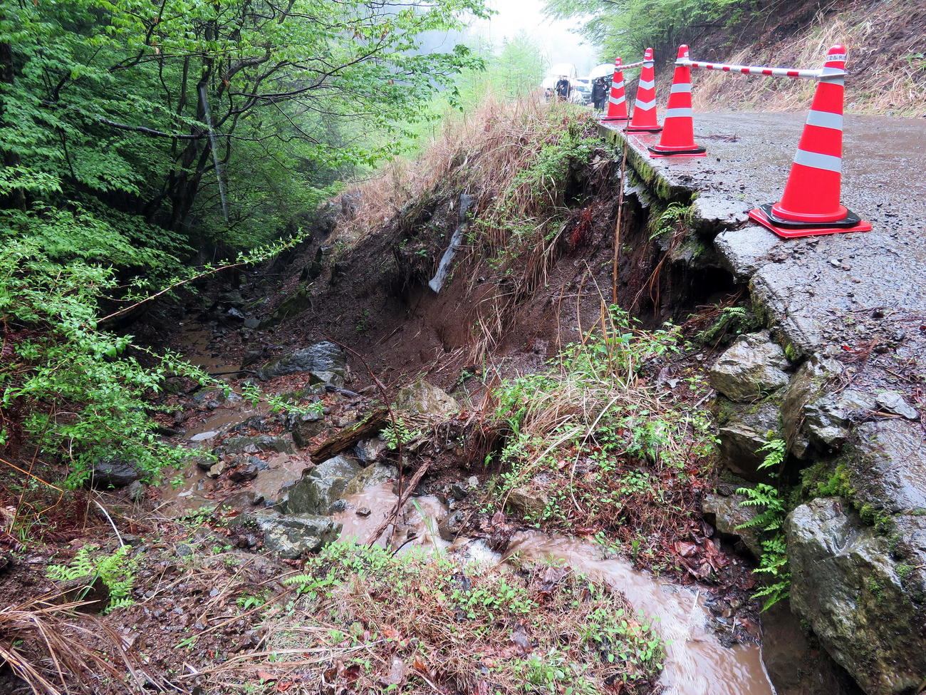 崖崩れが起きたままの危険箇所もあるキャンプ場から人骨や靴などが発見された現場に向かう林道（撮影・鎌田直秀）