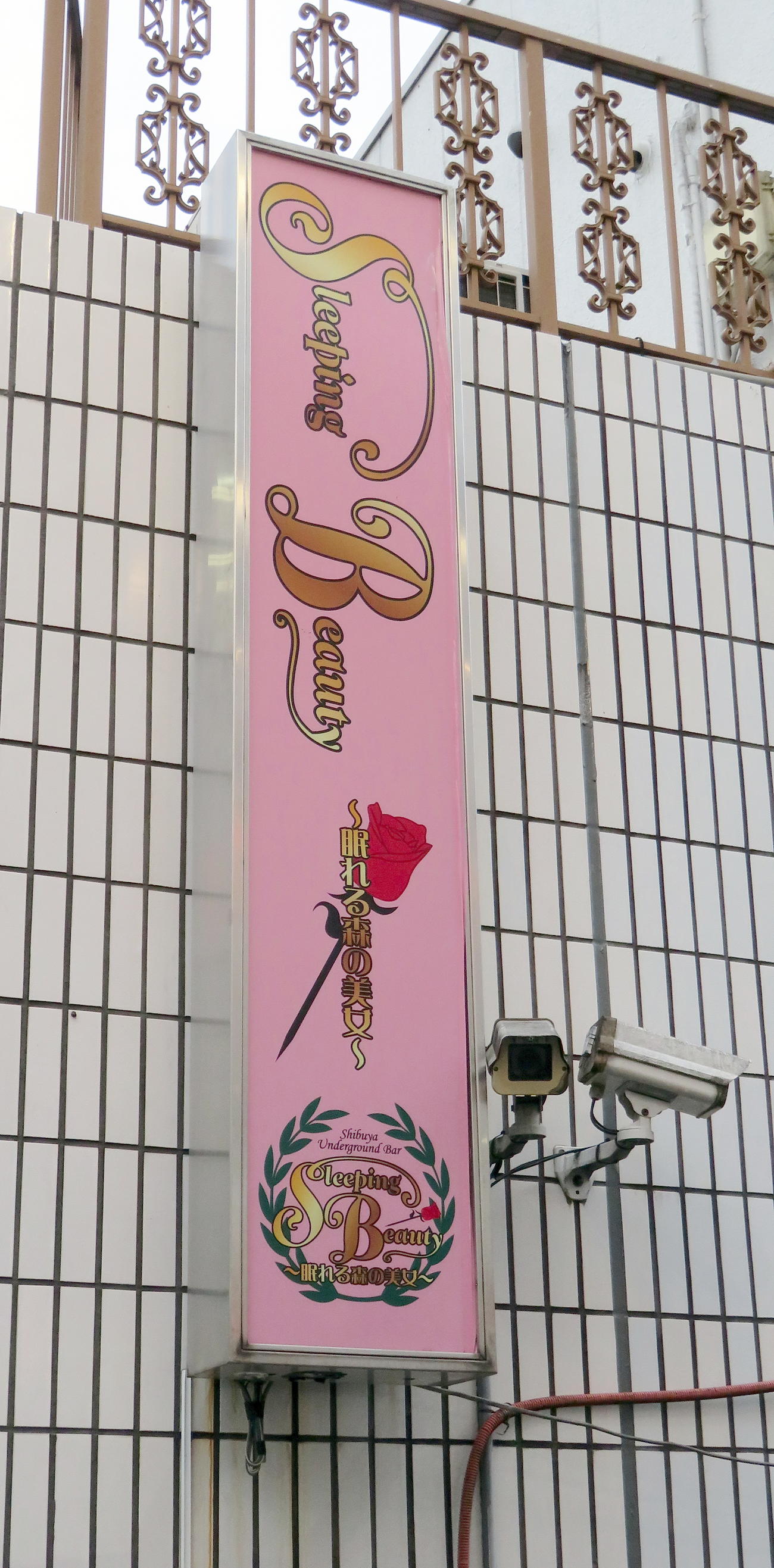 ハプニングバー「Sleeping Beauty～眠れる森の美女～」店舗の看板