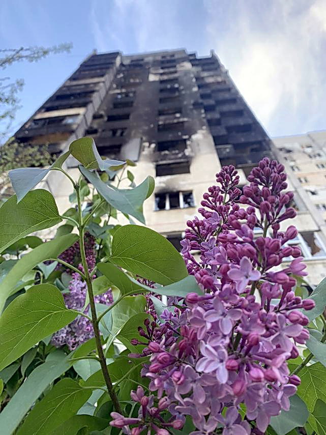 イゴールさんから送られてきた爆撃を受けたとみられるビル前に咲く紫色の花（佐々木清志さん提供）