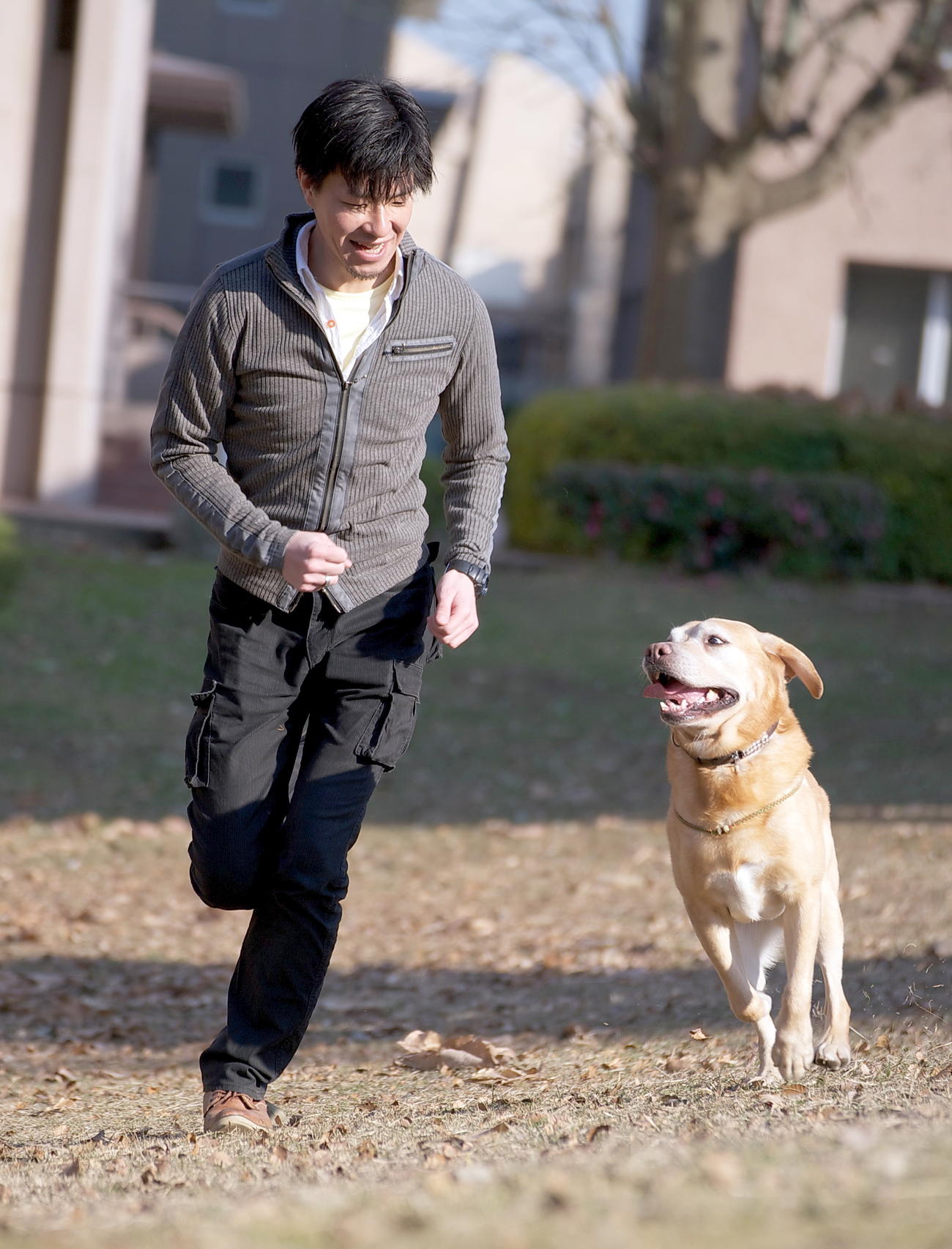 犬のトレーナーとして活動する「スタディ・ドッグ・スクール」の三井翔平さん（本人提供）