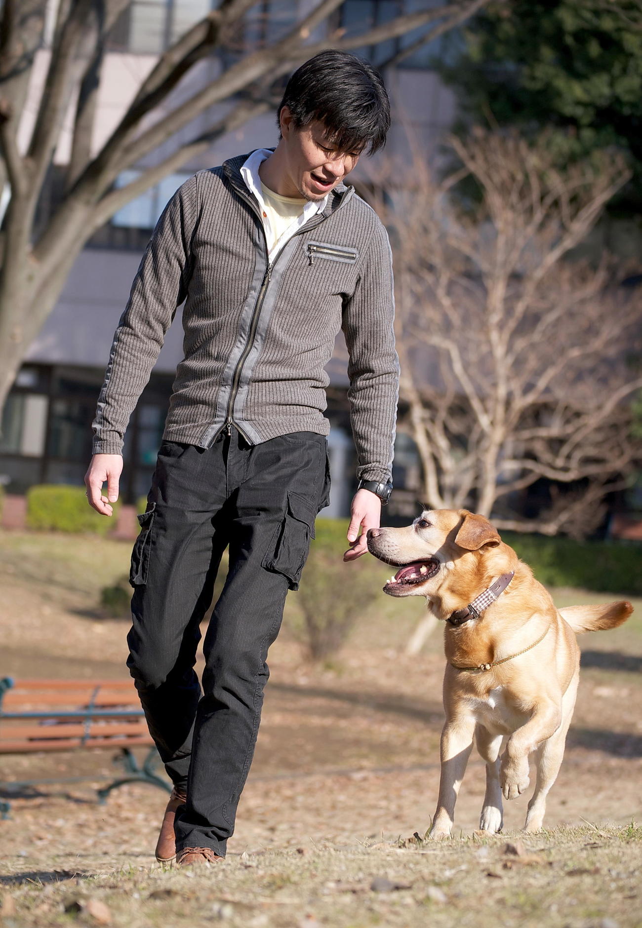 犬のトレーナーとして活動する「スタディ・ドッグ・スクール」の三井翔平さん（本人提供）
