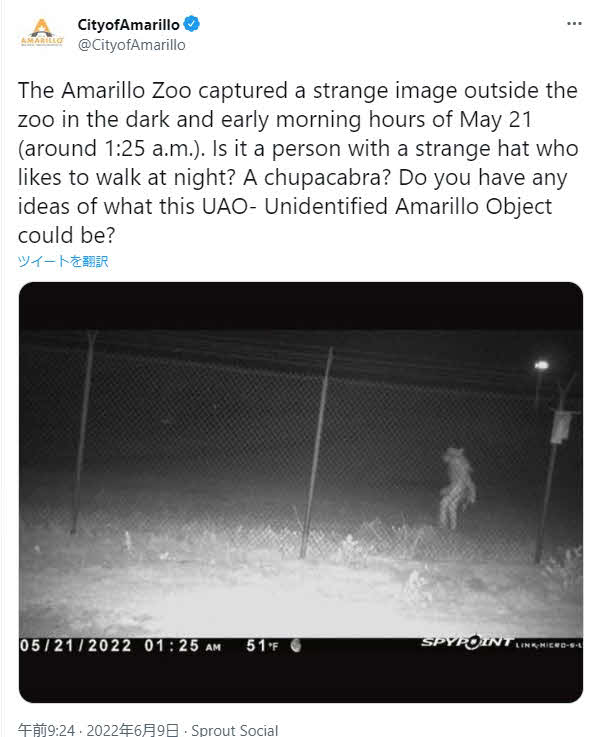 米テキサス州のアマリロ動物園でフェンスの外に写った謎の影（アマリロ市のツイッターから）