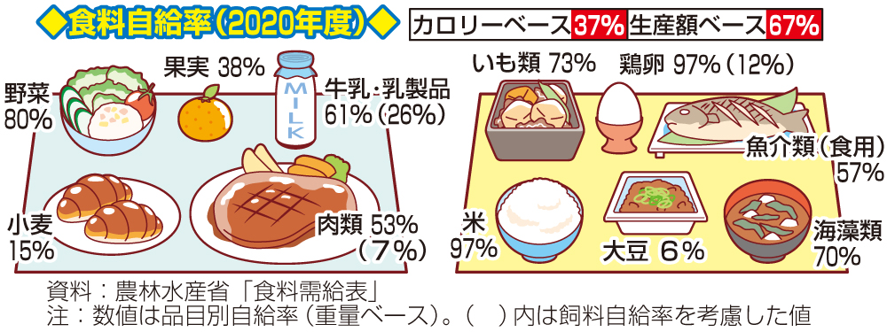 【イラスト】食料自給率（2020年度）