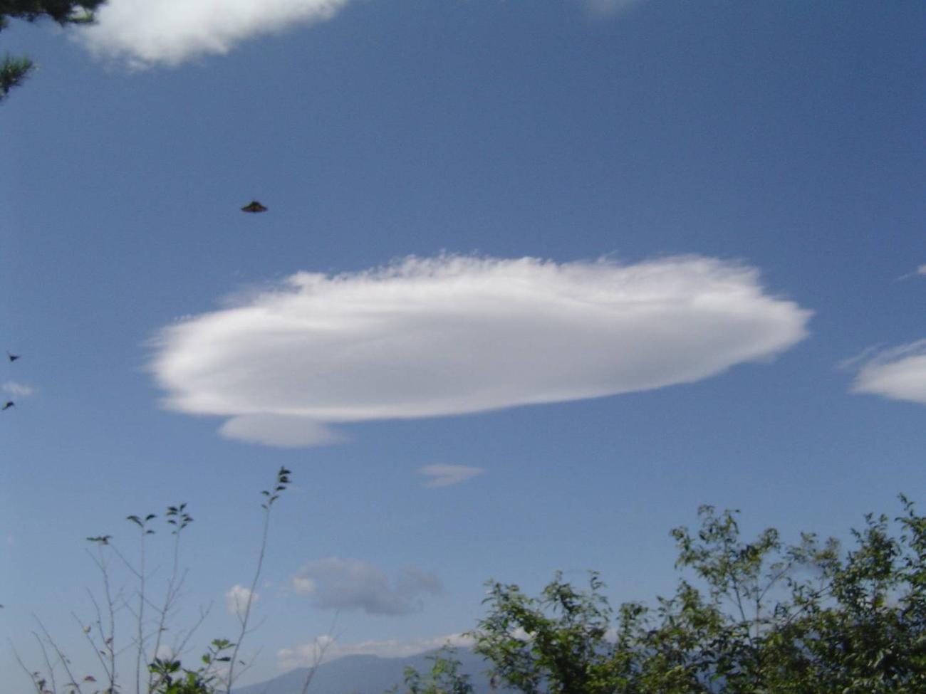 「極めてUFOの可能性が高い」と発表された写真。福島市の千貫森山頂で小1男子が撮影した。「アゲハチョウでは？」と大騒ぎになった（国際未確認飛行物体研究所提供）