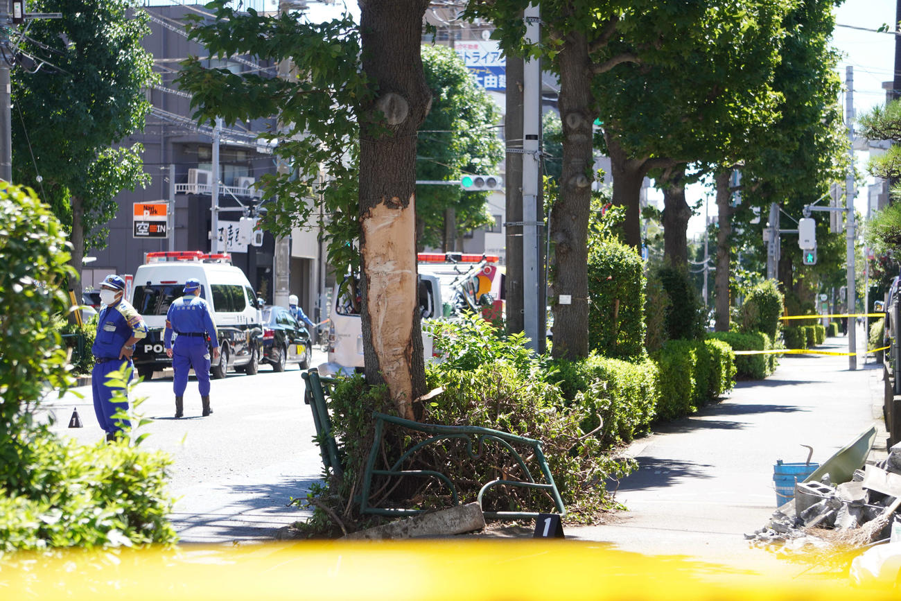 事故で皮が剥がれた樹木（撮影・沢田直人）