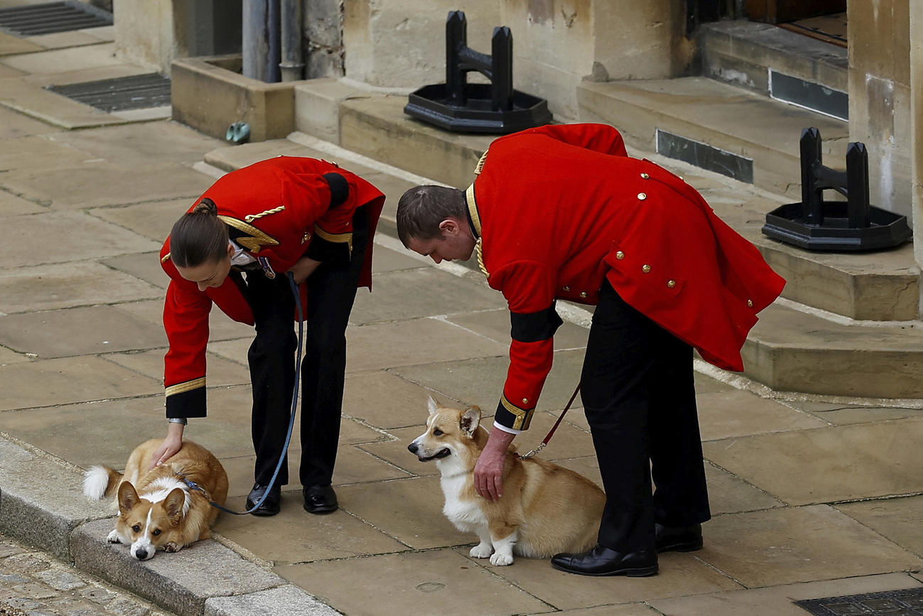 エリザベス英女王の愛犬コーギーの2匹「ミック」と「サンディー」（AP）
