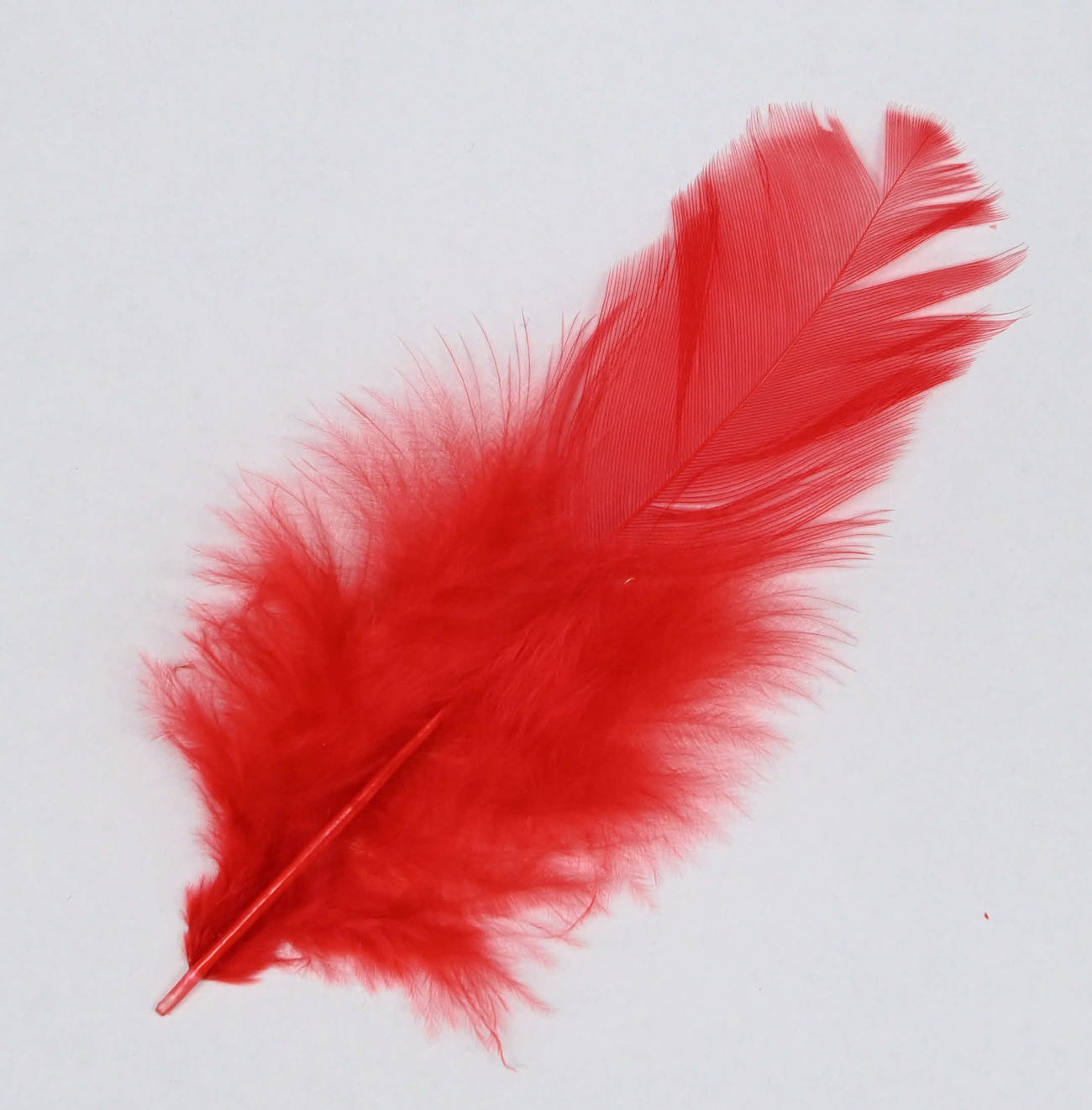 赤い羽根共同募金で配布される赤い羽根