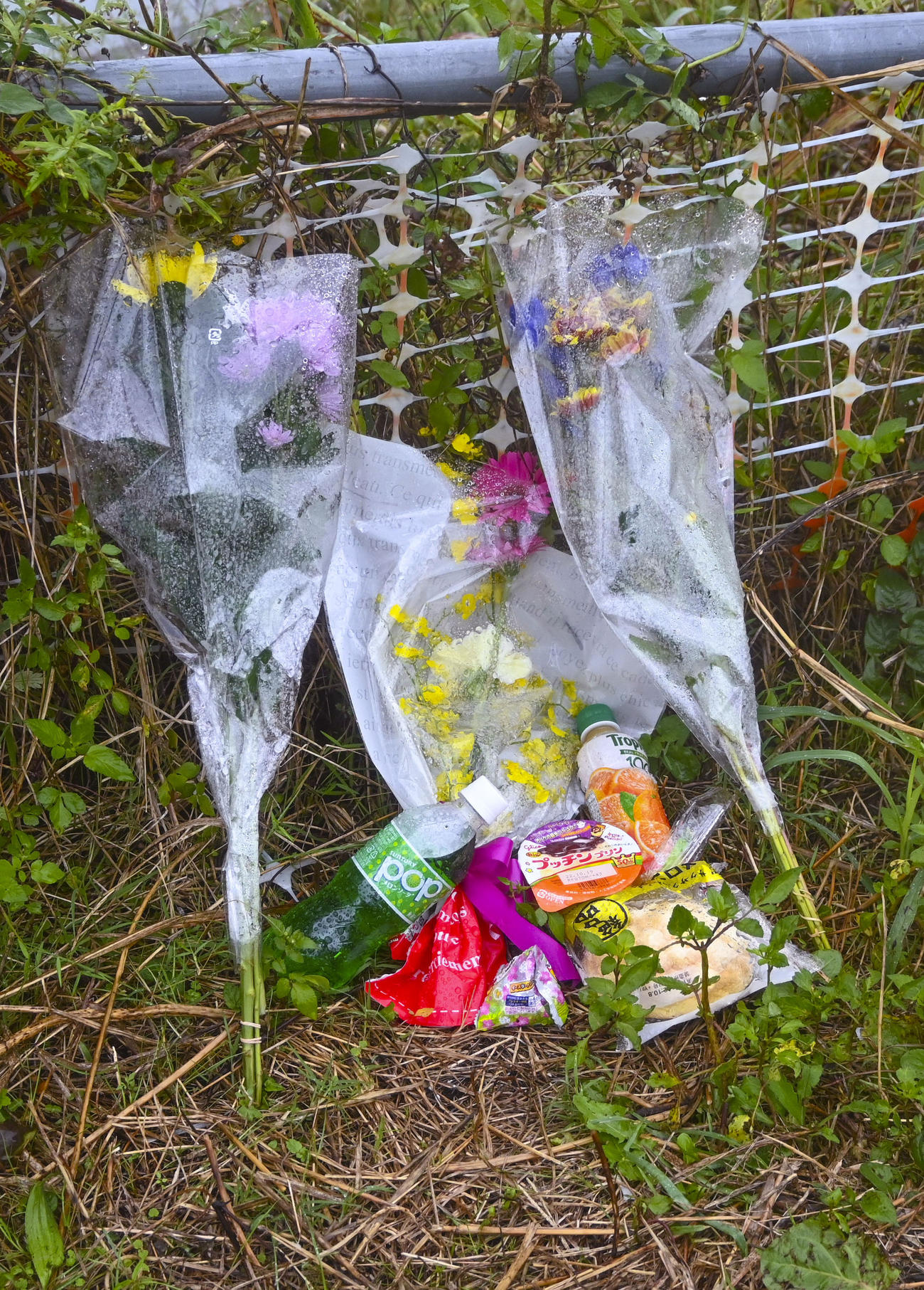 行方不明になっていた南朝芽さんが見つかった旧江戸川付近に供えられた花束や飲み物（共同）