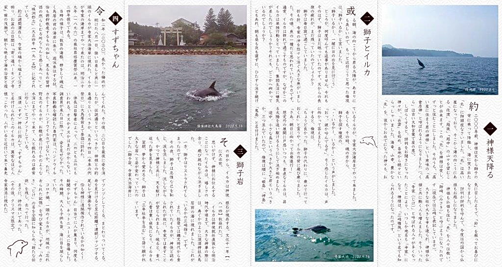 ミナミハンドウイルカのすずちゃんを通じて「いるかの三崎詣り」など珠洲市の神話を伝えるリーフレット（裏）