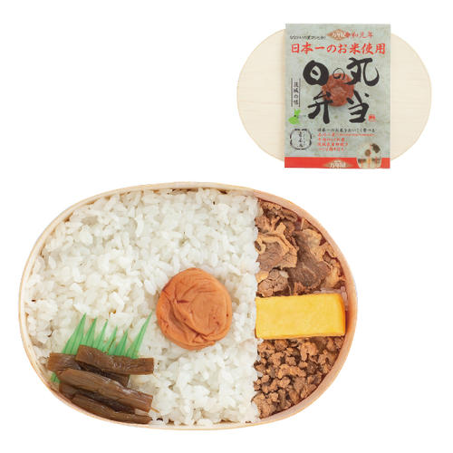 スペシャル日の丸弁当
