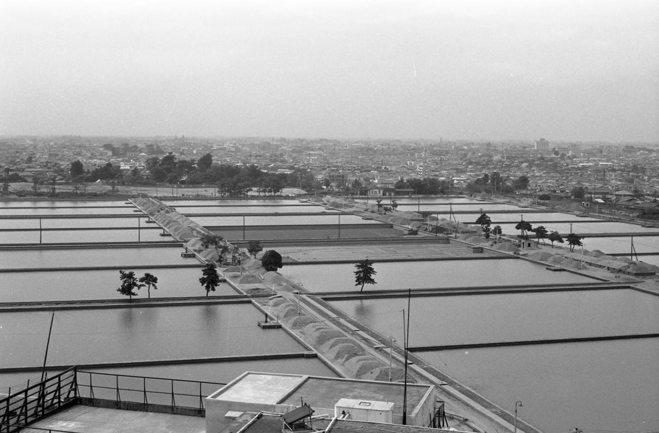 現在の西新宿の副都心に広がっていた淀橋浄水場。写真は1964年（新宿歴史博物館所蔵）