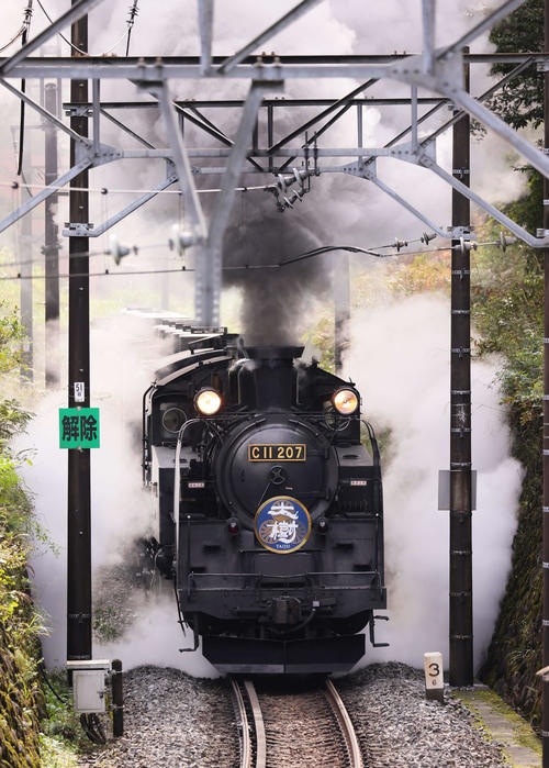 煙を上げながら走る東武鉄道のSL大樹（撮影・足立雅史）