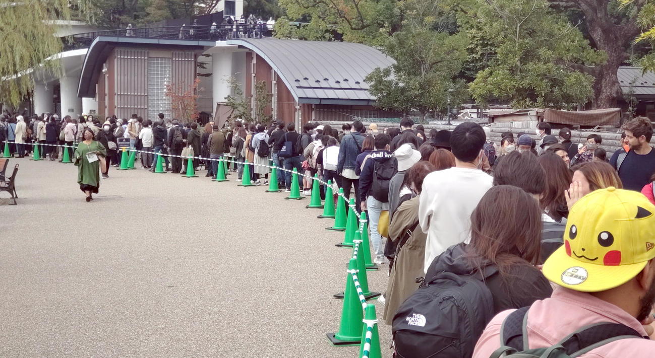 上野動物園でジャイアントパンダ親子を観覧するために長蛇の列をつくる来場者たち（撮影・鎌田直秀）