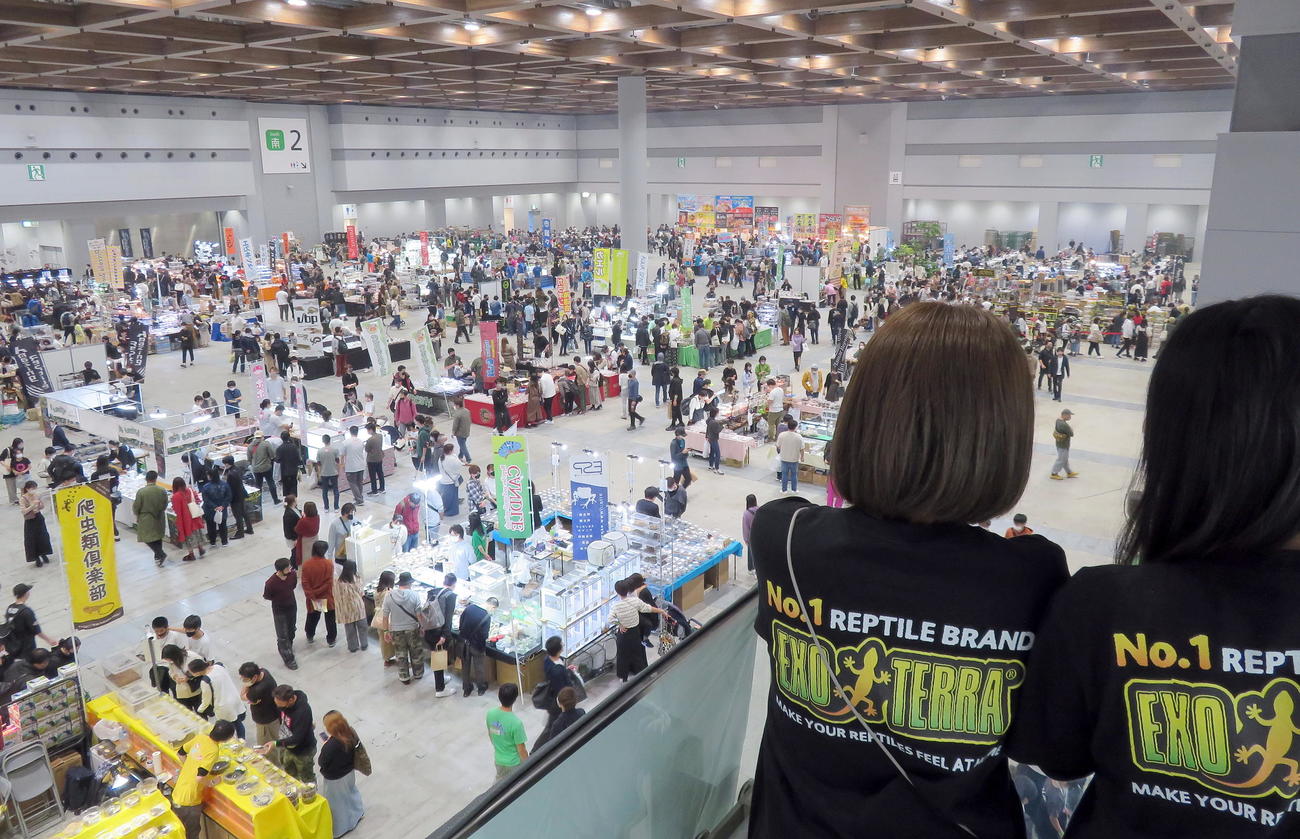 床下面積1方メートルの東京ビッグサイト会場で開催して日本最大規模の爬虫（はちゅう）類展示販売イベントとなった「ジャパンレプタイルズショーin東京2022」（撮影・鎌田直秀）