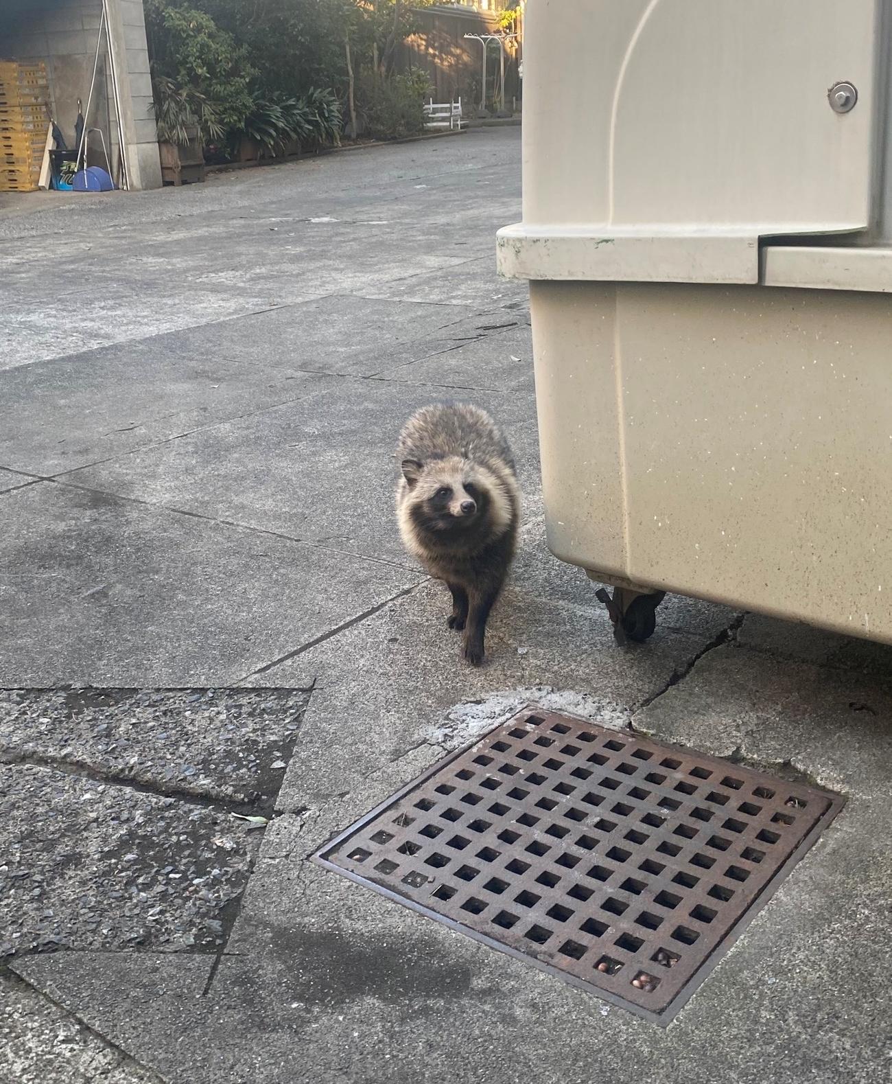 ちゃんとカメラ目線をしてくれた（提供・フランス大使館）