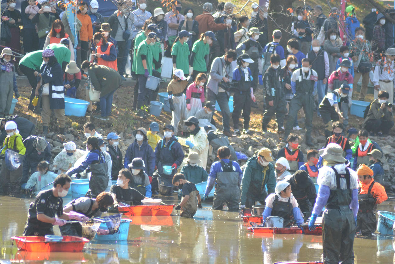 約11年ぶりに水を抜いてかいぼりが行われた大宮公園舟遊池（通称「ボート池」）