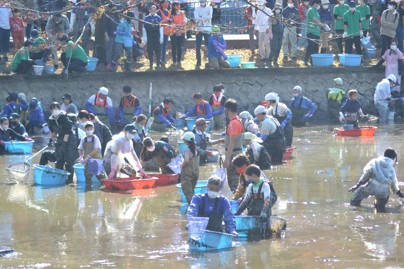 約11年ぶりに水を抜いてかいぼりが行われた大宮公園舟遊池（通称「ボート池」）