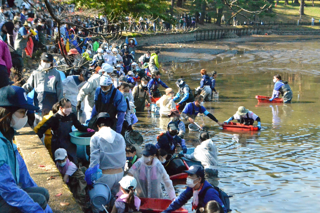 約11年ぶりに水を抜いてかいぼりが行われた大宮公園舟遊池（通称「ボート池」）