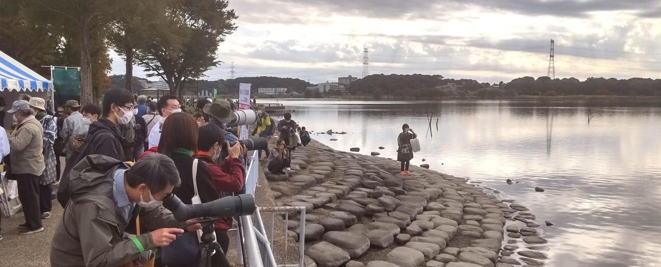 手賀沼の湖畔には野鳥観察をするファンの列ができた（撮影・寺沢卓）