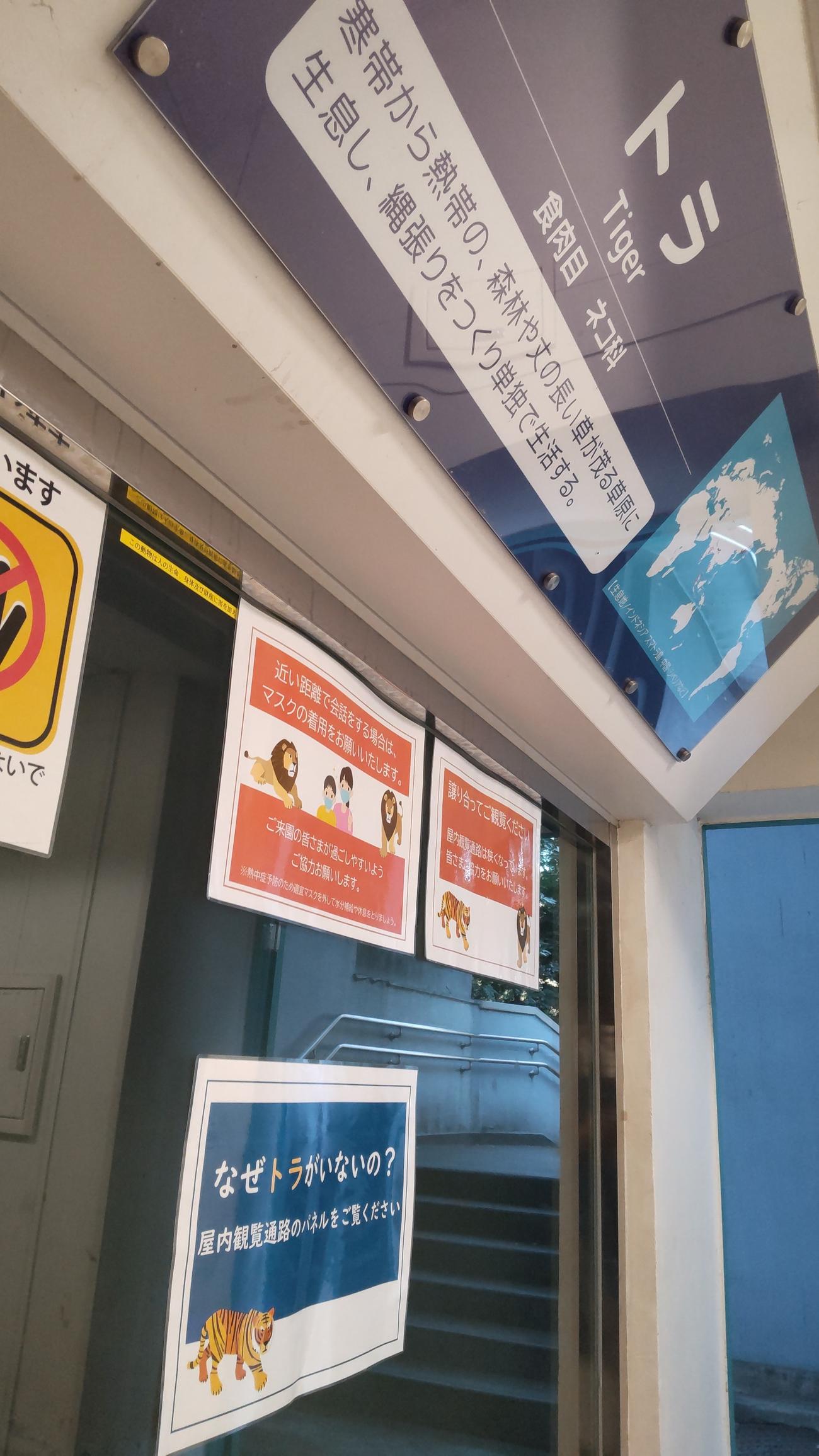 今、野毛山動物園にはトラがいない。さてどこに行ってしまったのか？