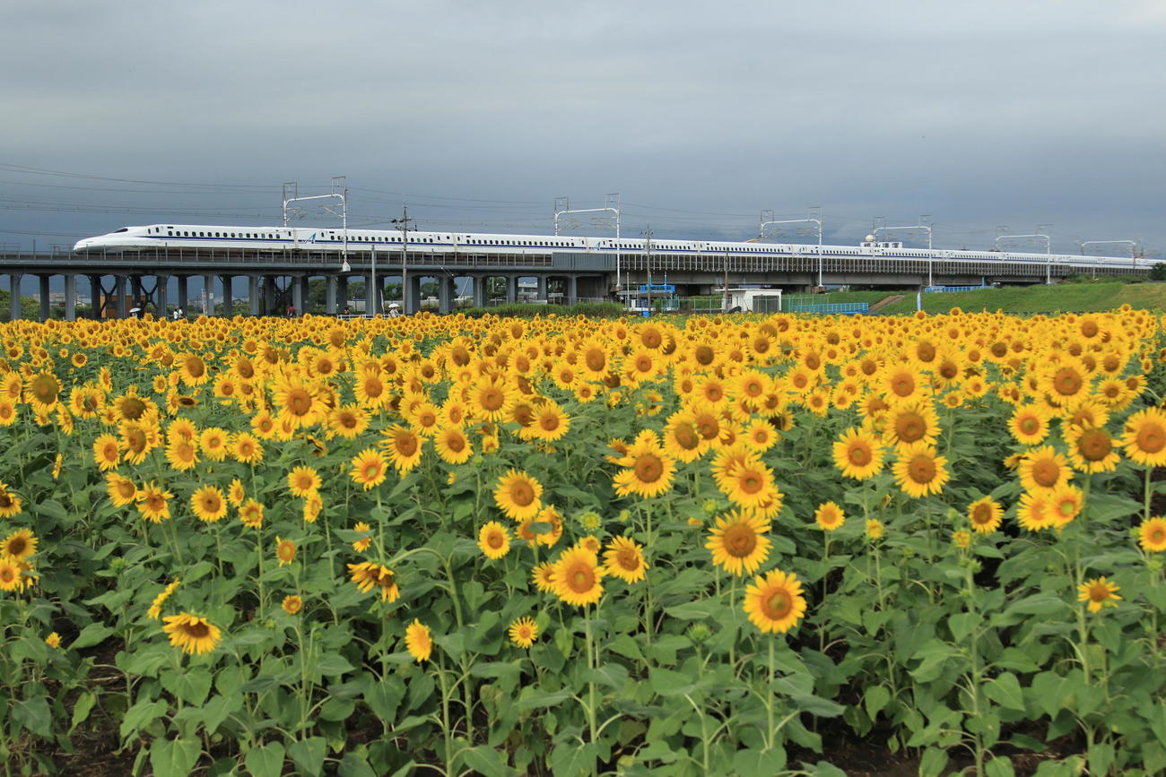 東海道山陽新幹線のぞみ（18年8月）