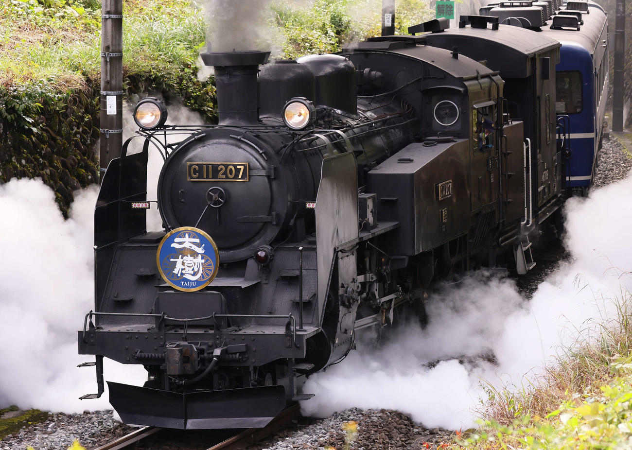 煙を上げながら走る東武鉄道のSL大樹（撮影・足立雅史）