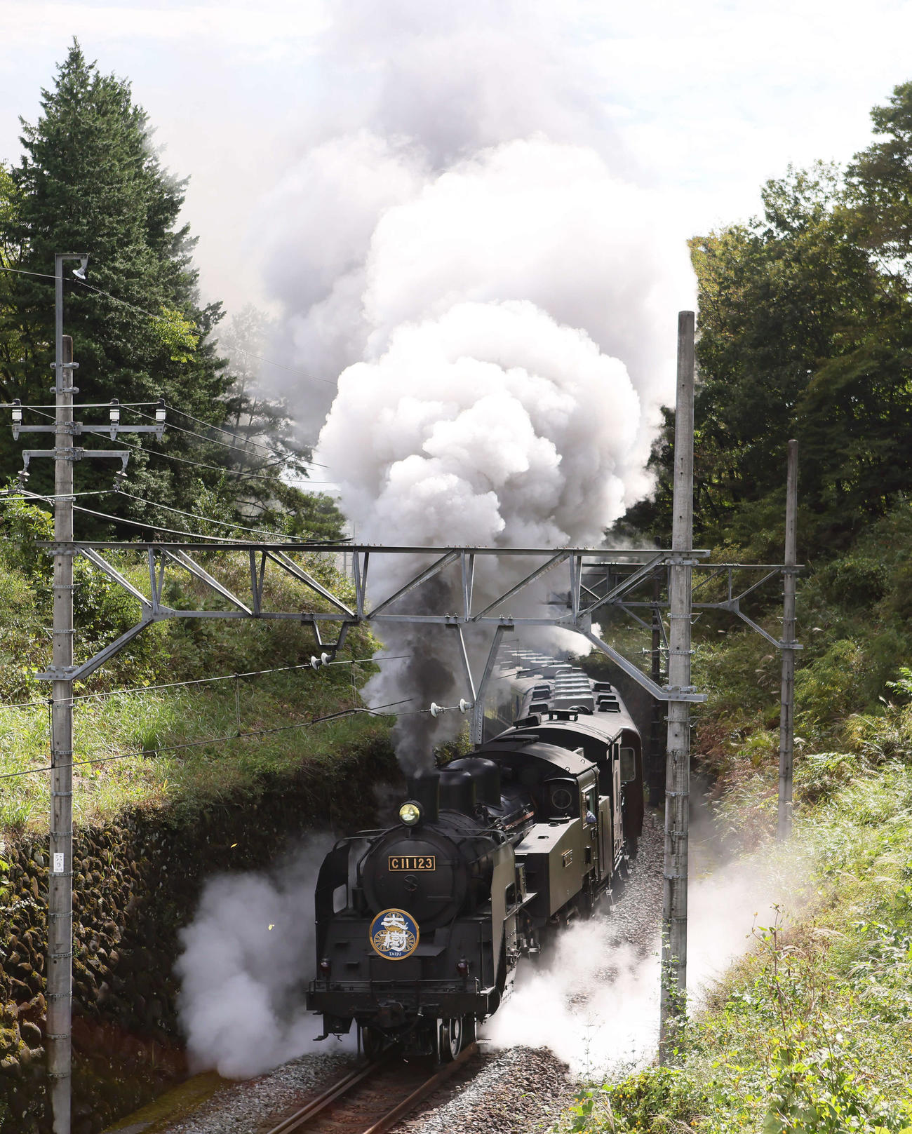煙を上げながら走る東武鉄道のSL大樹（撮影・足立雅史）