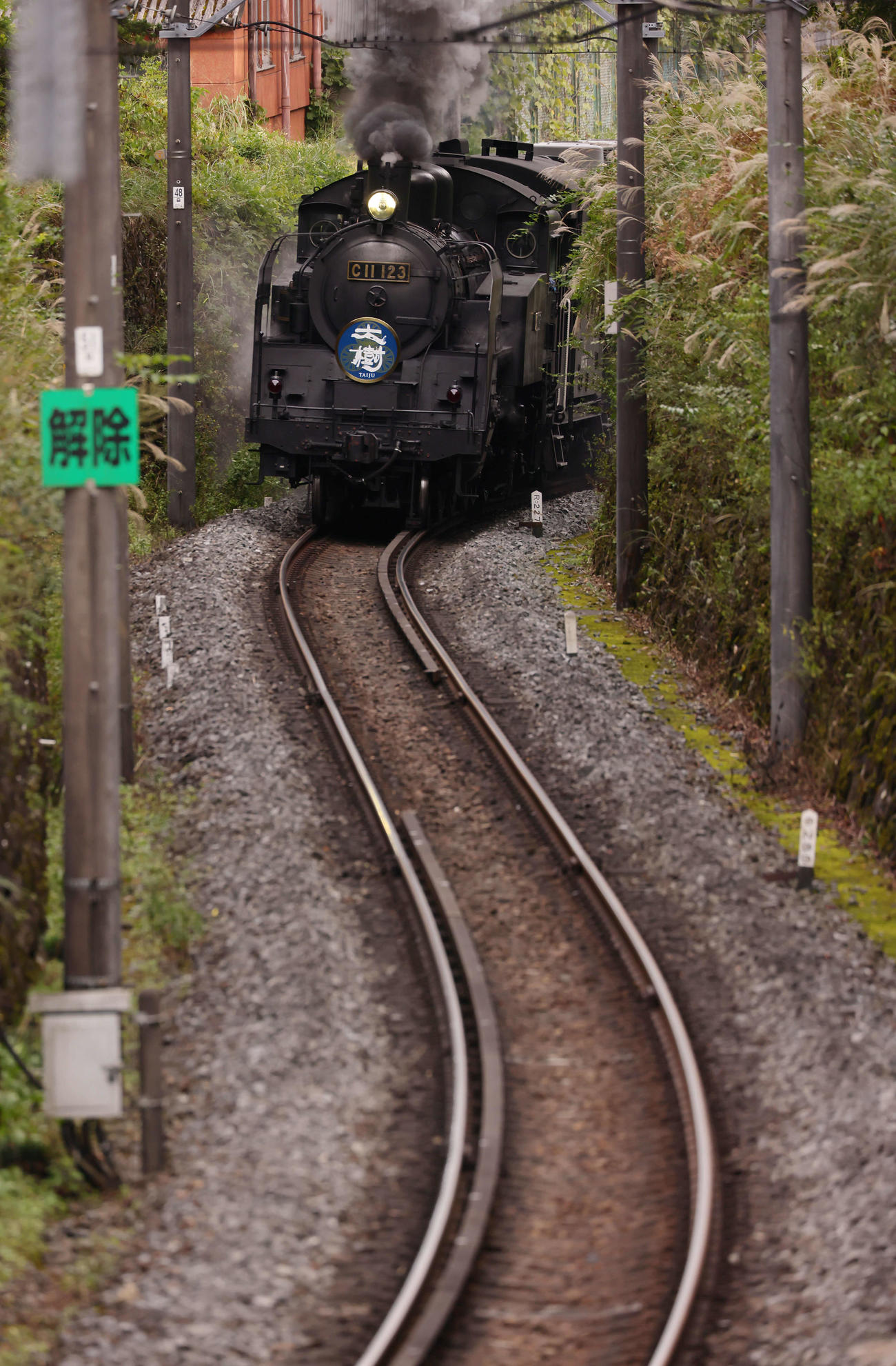 坂道を駆け上がる東武鉄道のSL大樹（撮影・足立雅史）