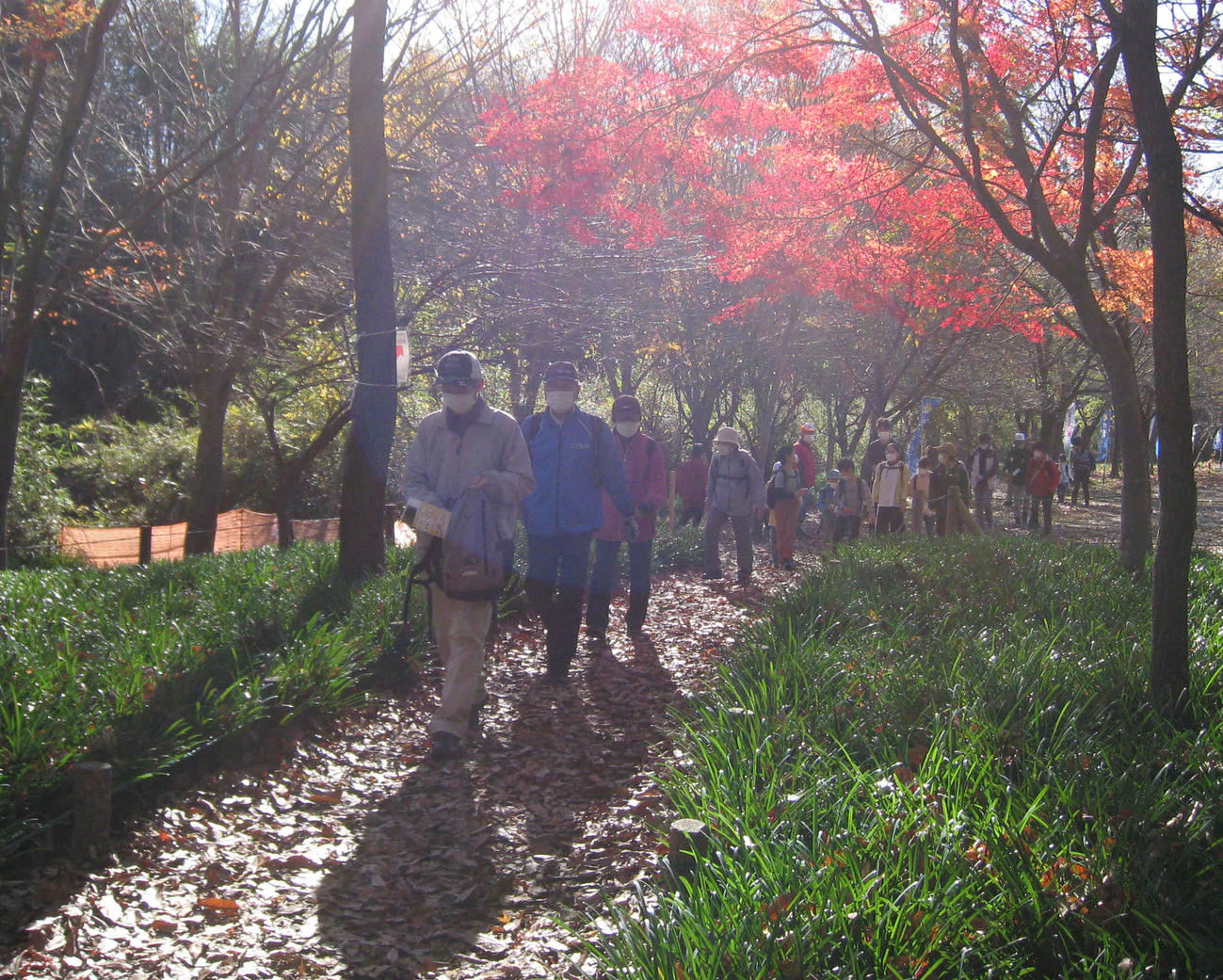 紅葉の日高路を歩く参加者たち（撮影・吉池彰）