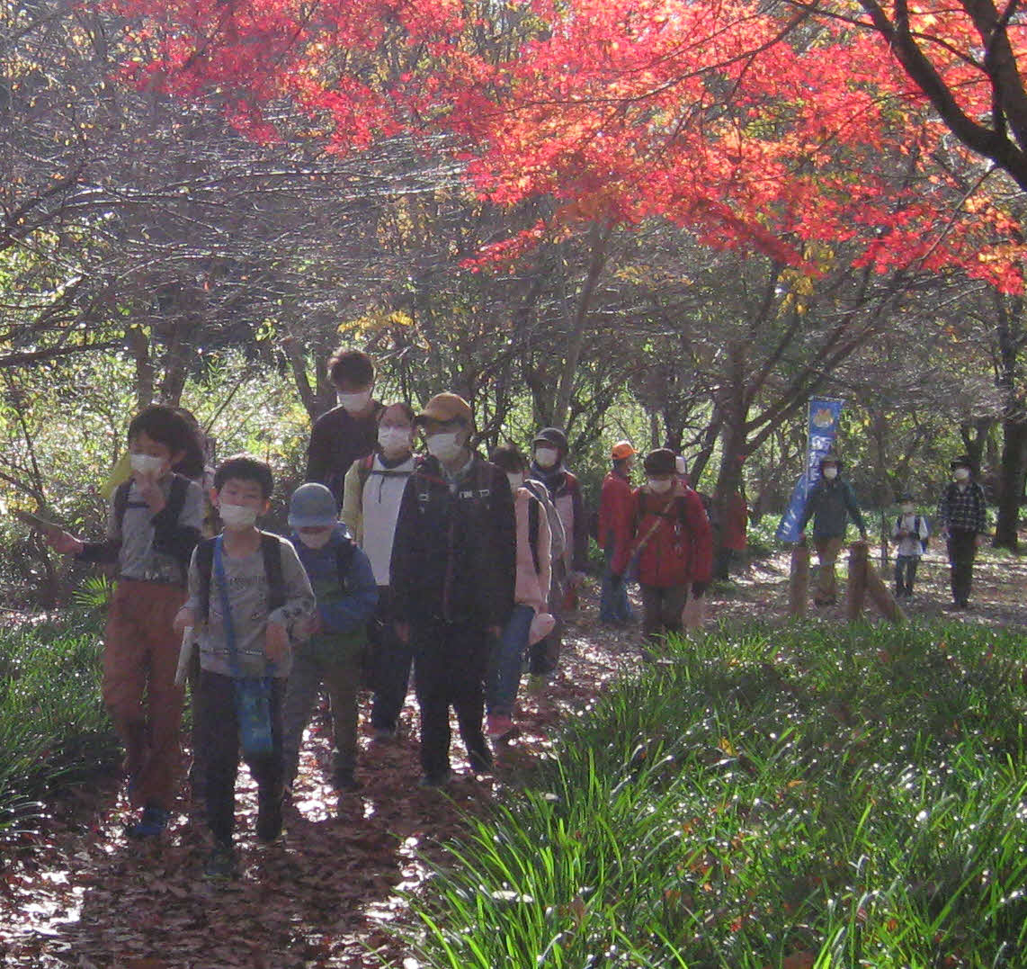 紅葉の日高路を楽しむ参加者たち（撮影・吉池彰）