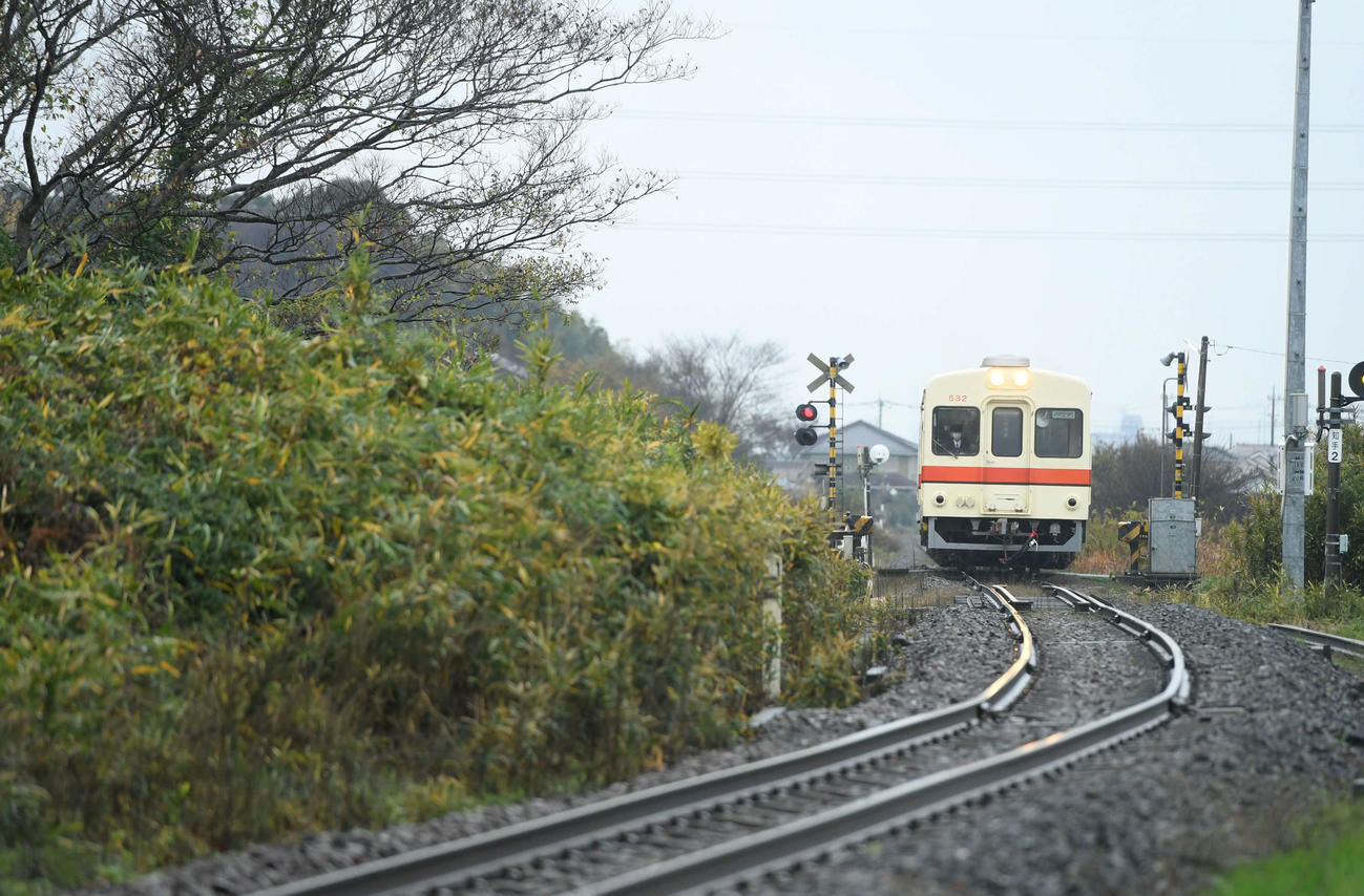 走行する「キハ532形号車」入地駅付近（撮影・たえ見朱実）
