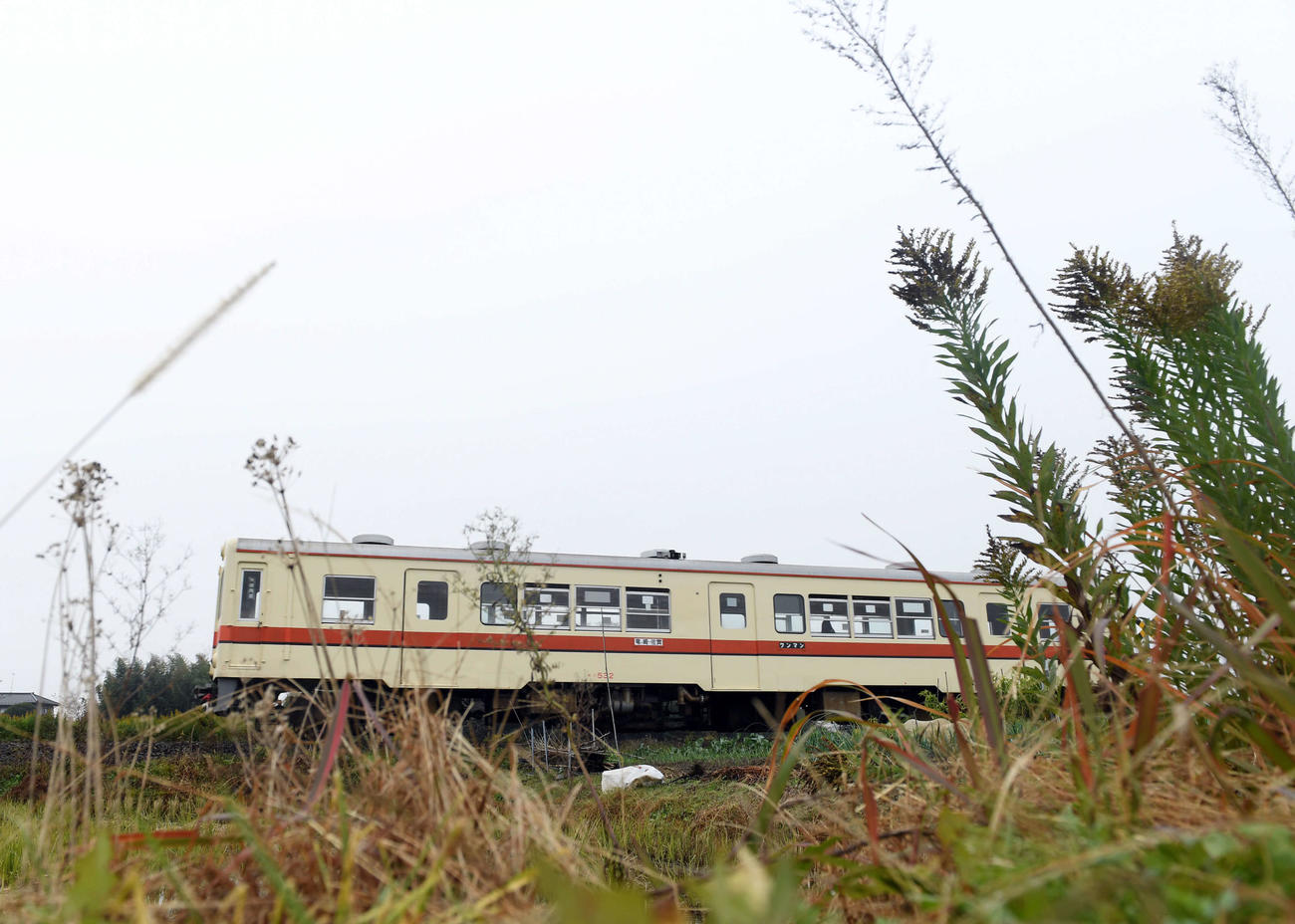 入地駅へ向かう列車（キハ532形号車）（撮影・たえ見朱実）