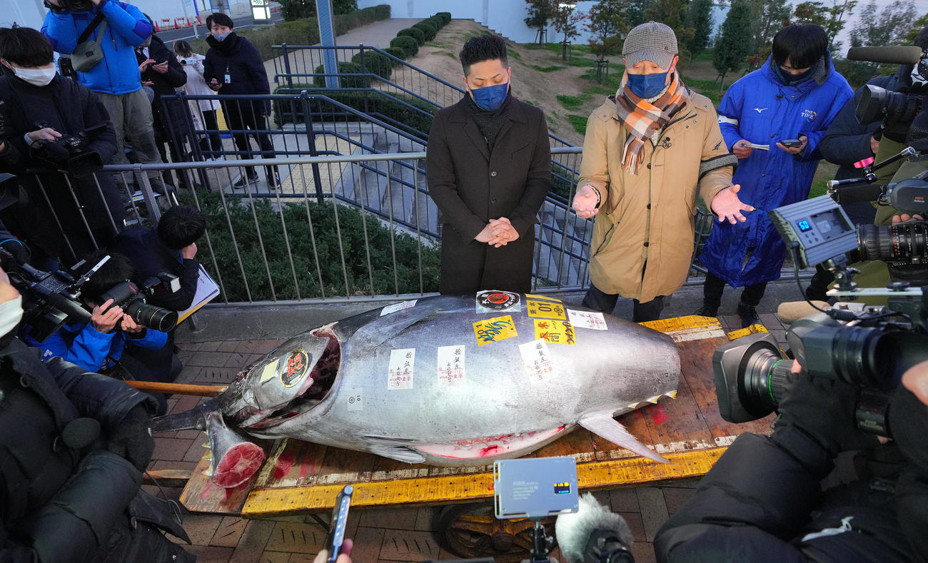 この日、落とした一番のマグロを前に喜びを語るおのでら長尾真司社長（左）と坂上暁史料理長（撮影・垰建太）