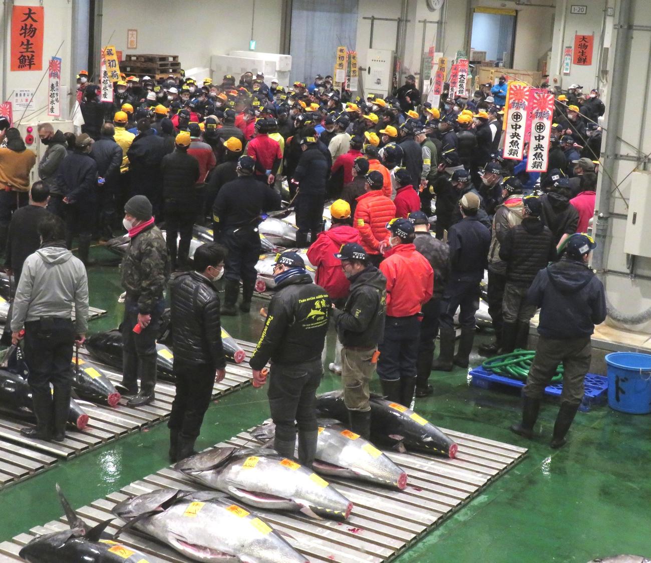 5日午前5時10分、1キロ単価17万円で競り落とされた大間産の212キロのクロマグロの周辺は多くの競り人が競りの様子を見守った（撮影・寺沢卓）