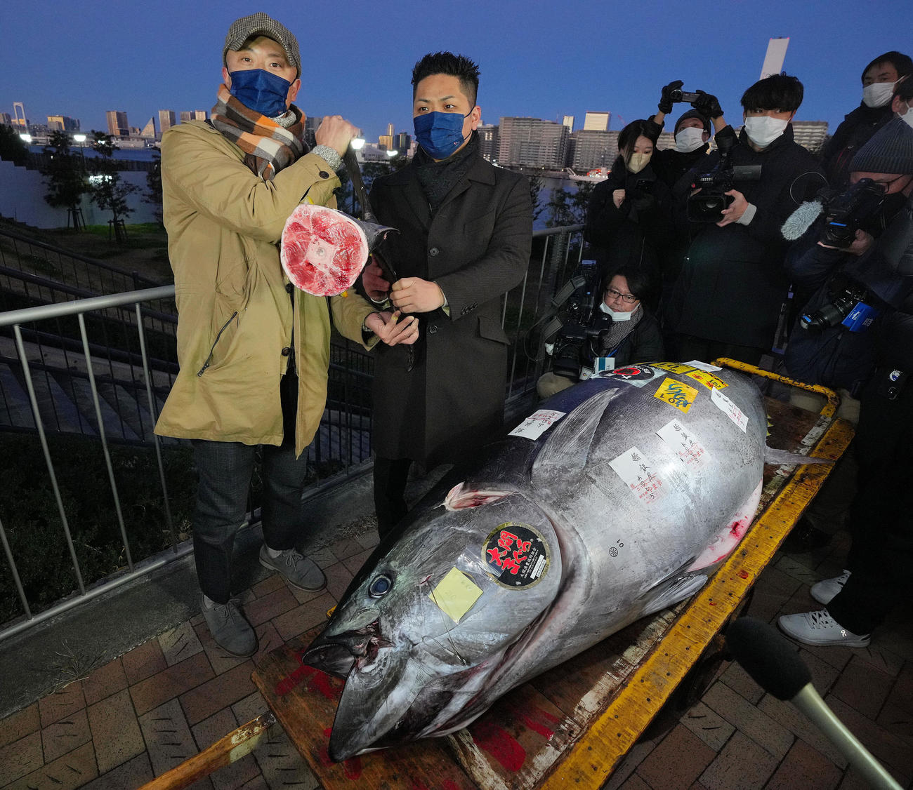 この日、落とした一番のマグロの尾の部分の断面を披露するおのでら長尾真司社長（右）と坂上暁史料理長（撮影・垰建太）
