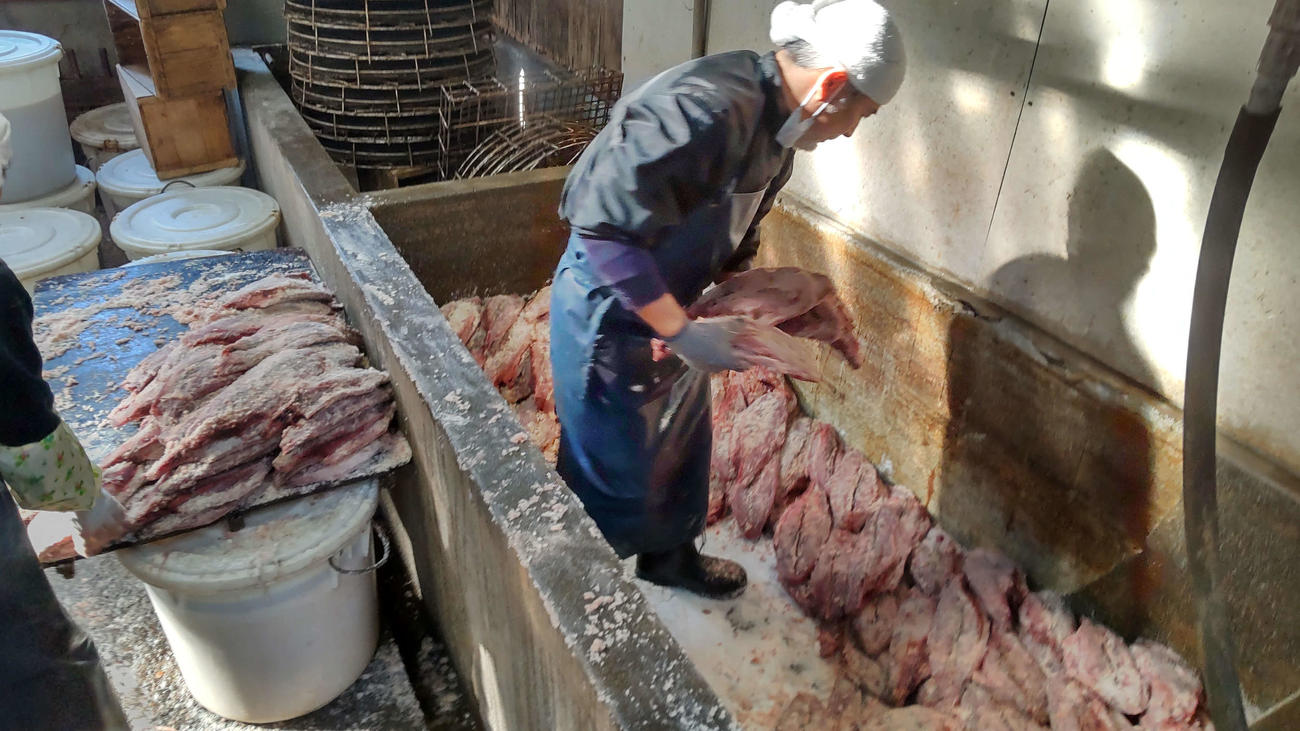 しっかりと塩を塗り込まれたカツオは2週間漬けられ、じわじわと発酵していく。マスも同じ作業が行われる（撮影・寺沢卓）