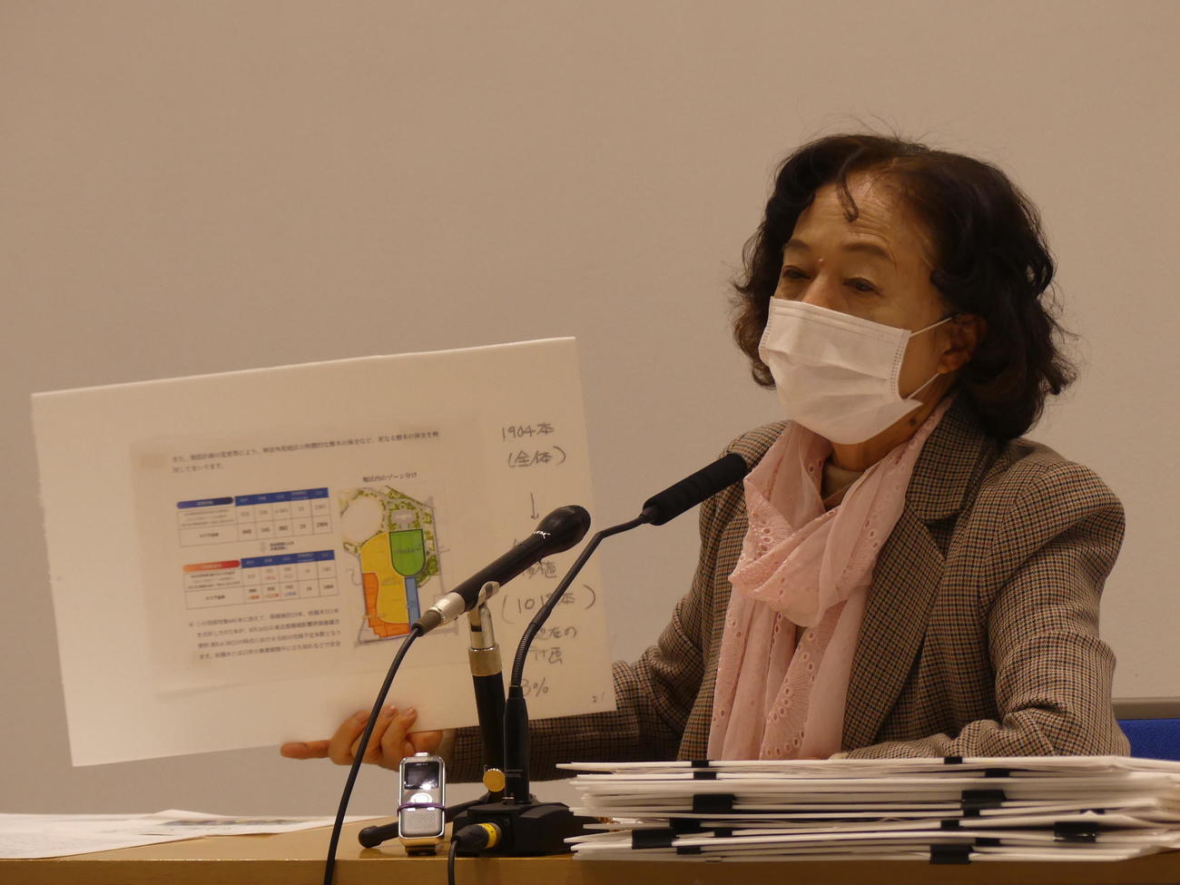 神宮外苑地区再開発をめぐり、事業者側が提出した評価書について東京都環境影響評価審議会での再審議を求めた日本イコモス国内委員会の石川幹子理事