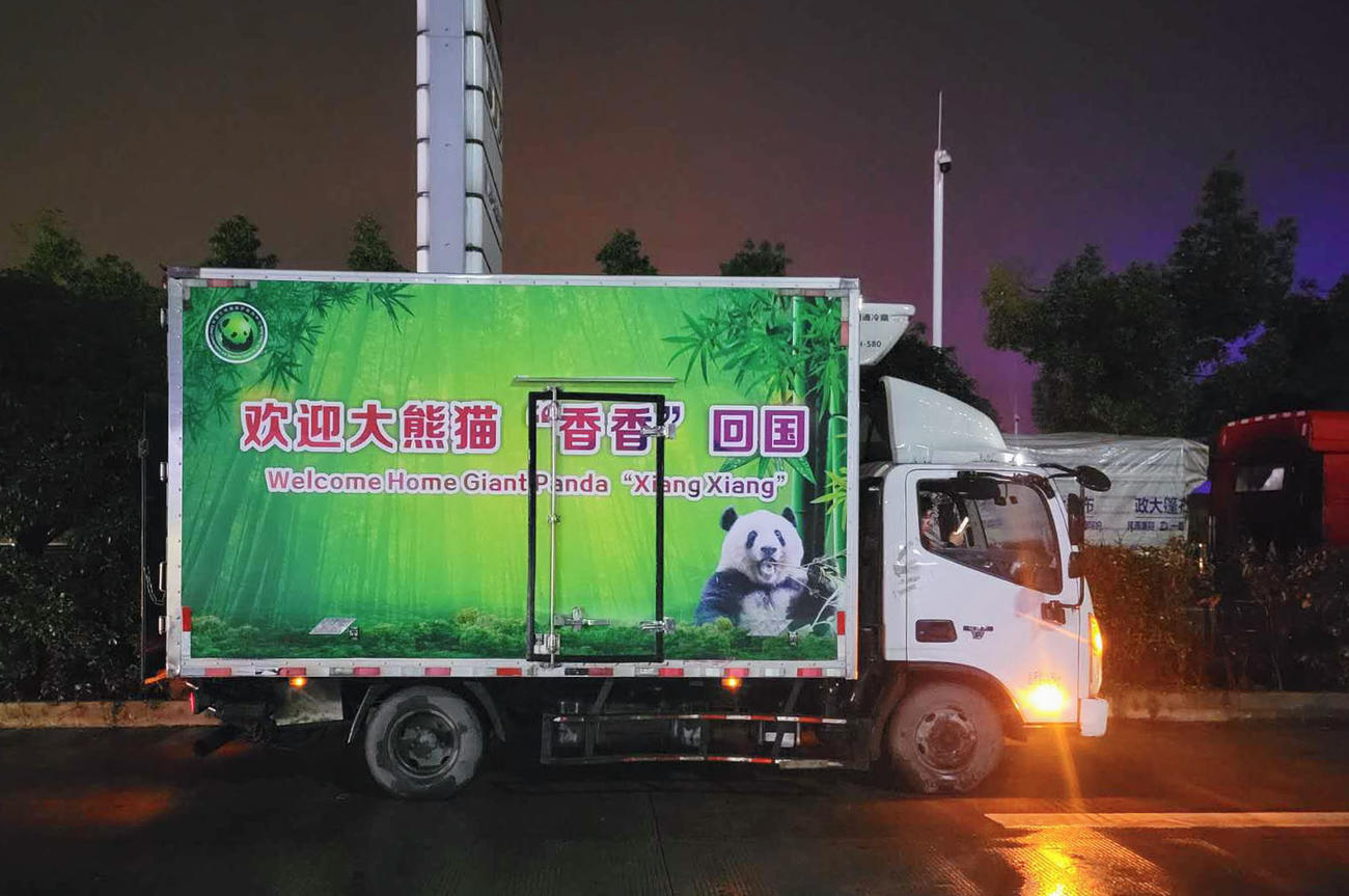 上野動物園がツイッターで公開した中国・成都の空港からシャンシャンを運ぶトラック（共同＝東京動物園協会提供）