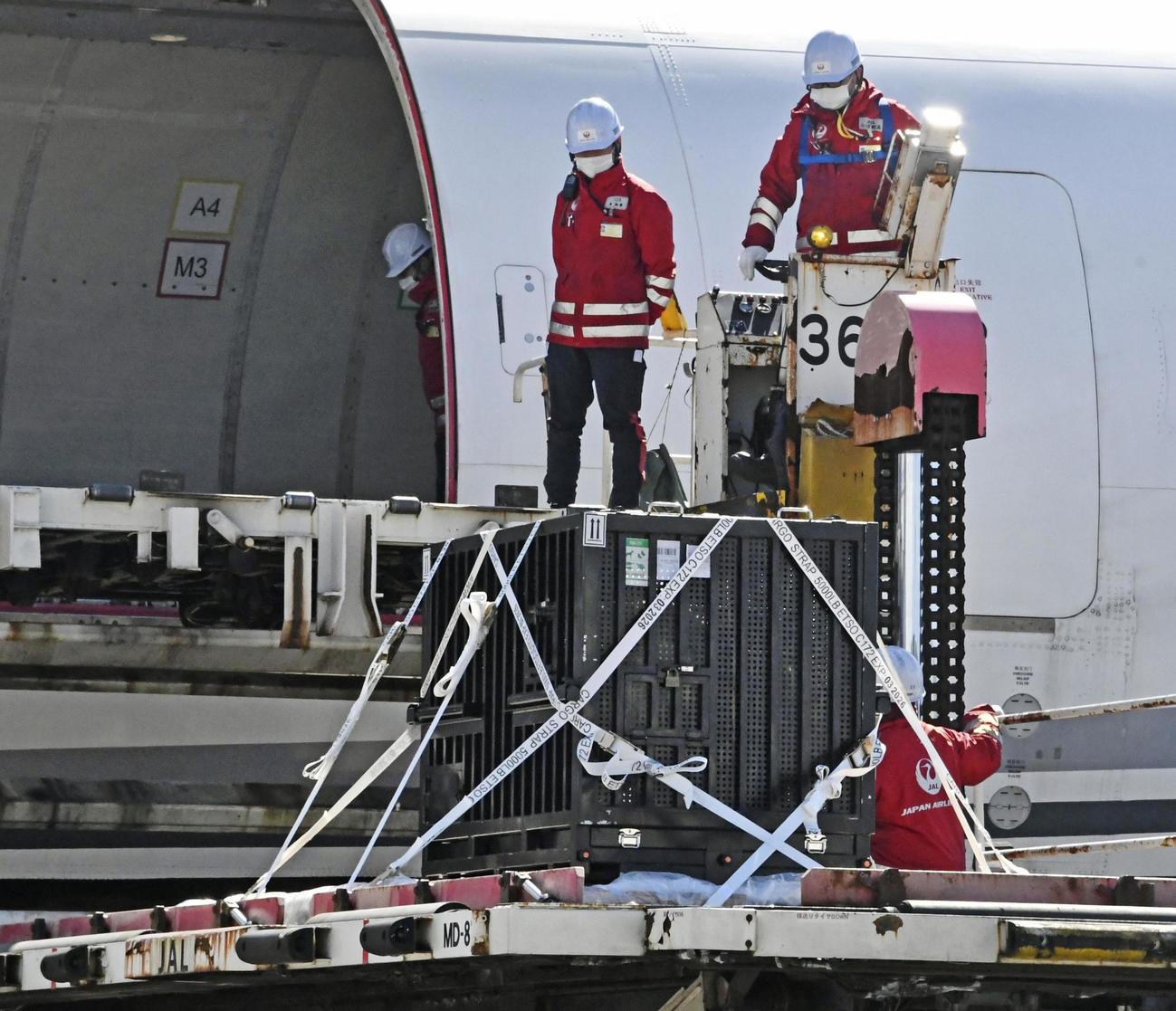 2月21日、航空機に積み込まれるシャンシャンが入ったコンテナ（共同）