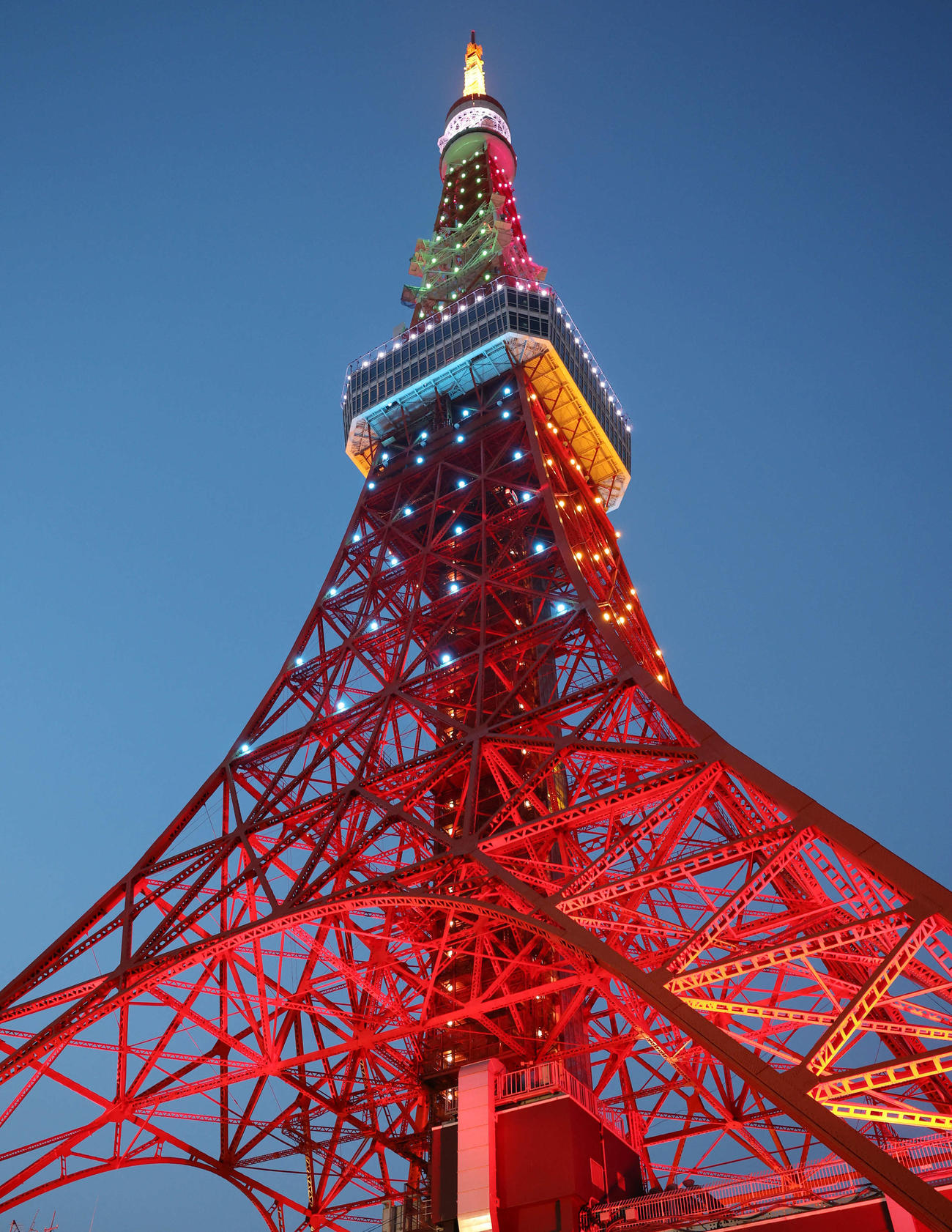 WBC色に点灯された東京タワー（撮影・宮地輝）