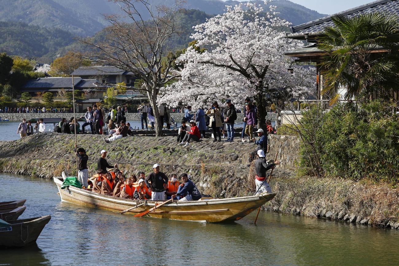 保津川下りの舟の転覆現場付近から運ばれ、京都・嵐山に到着した人たち（共同）