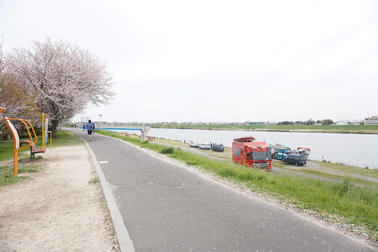 千葉県市川市のさくら堤公園と江戸川（撮影・沢田直人）