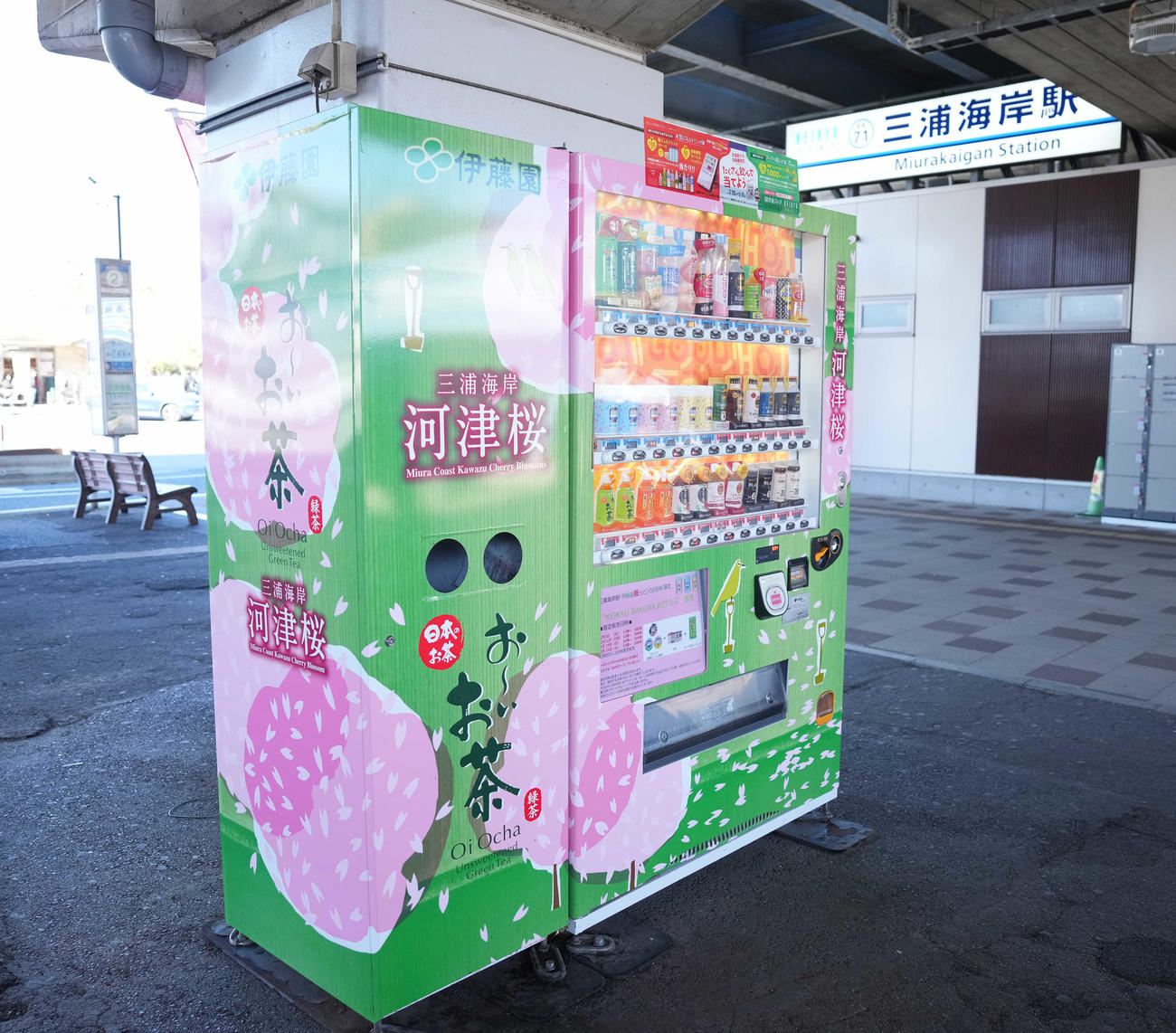 河津桜ラッピングの自販機（撮影・鈴木みどり）