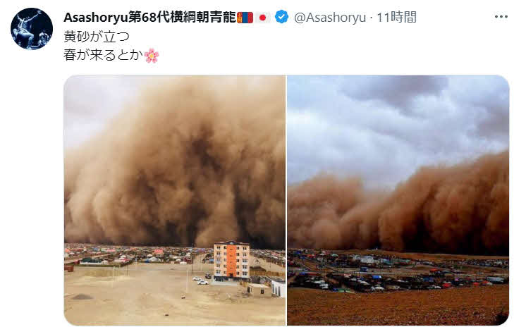元朝青龍のツイッターから